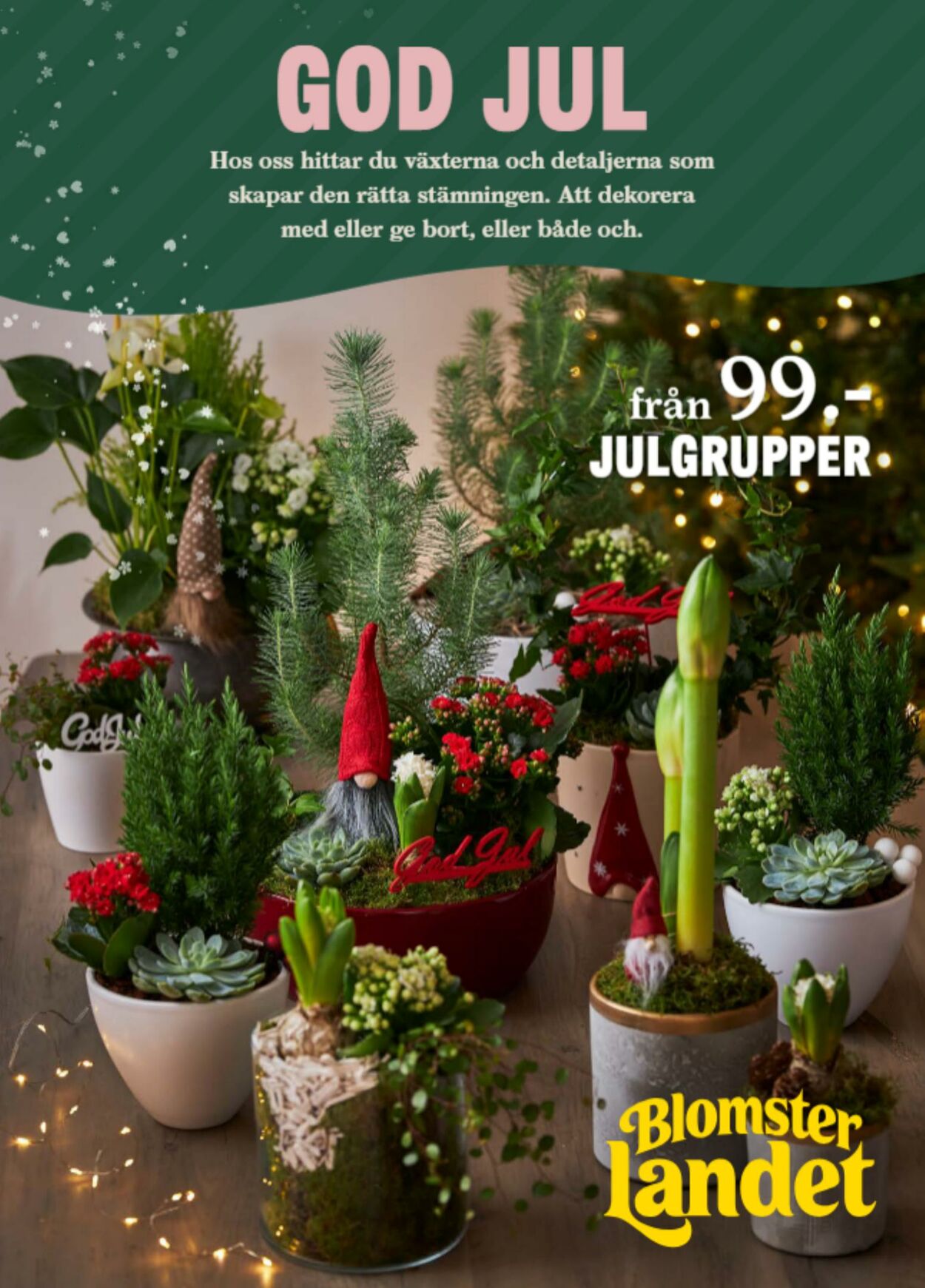 Erbjudanden Blomsterlandet 25.12.2023 - 09.01.2024