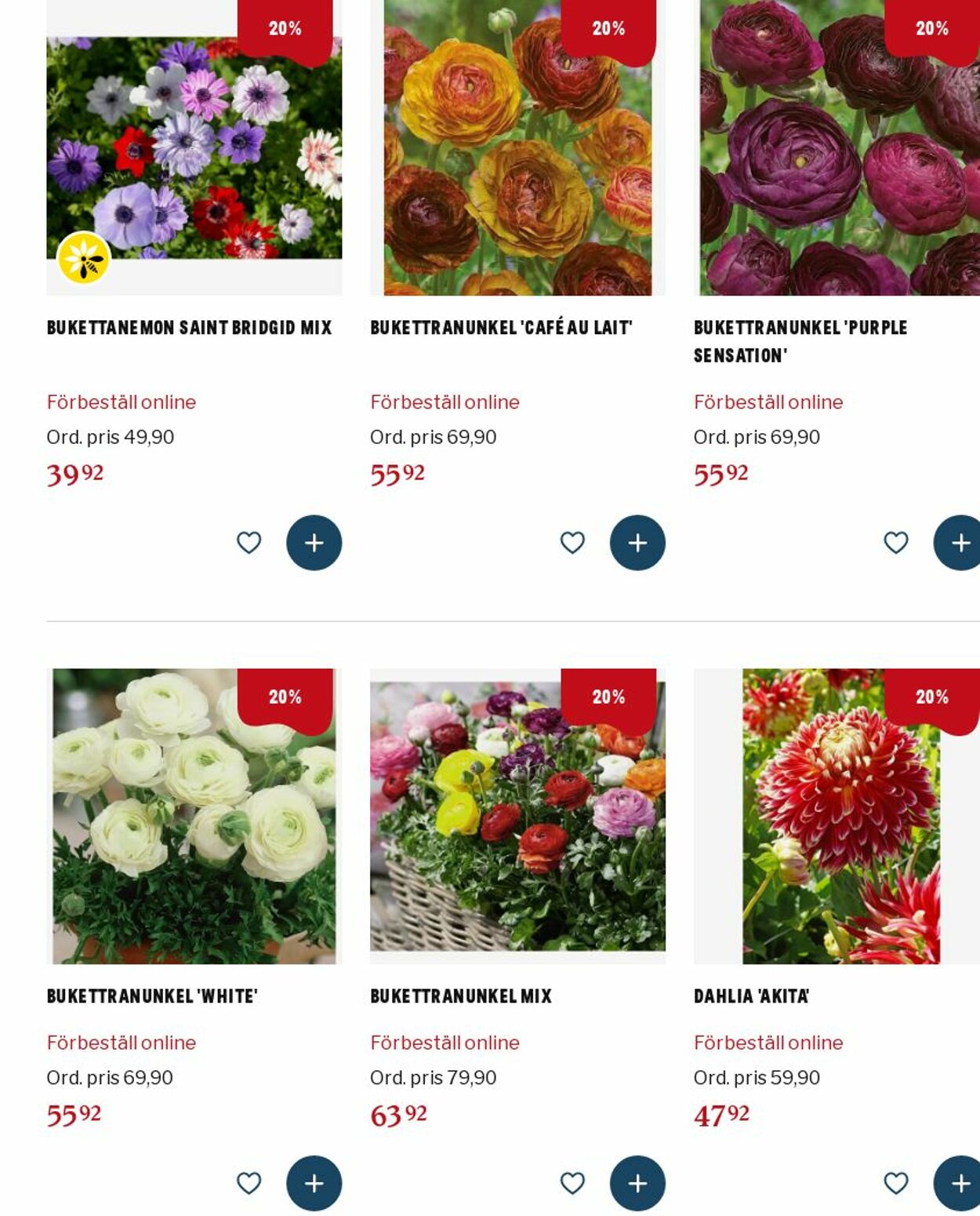 Erbjudanden Blomsterlandet 13.01.2025 - 22.01.2025