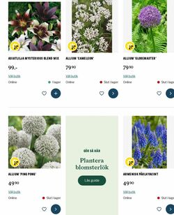 Erbjudanden Blomsterlandet 05.01.2026 - 14.01.2026