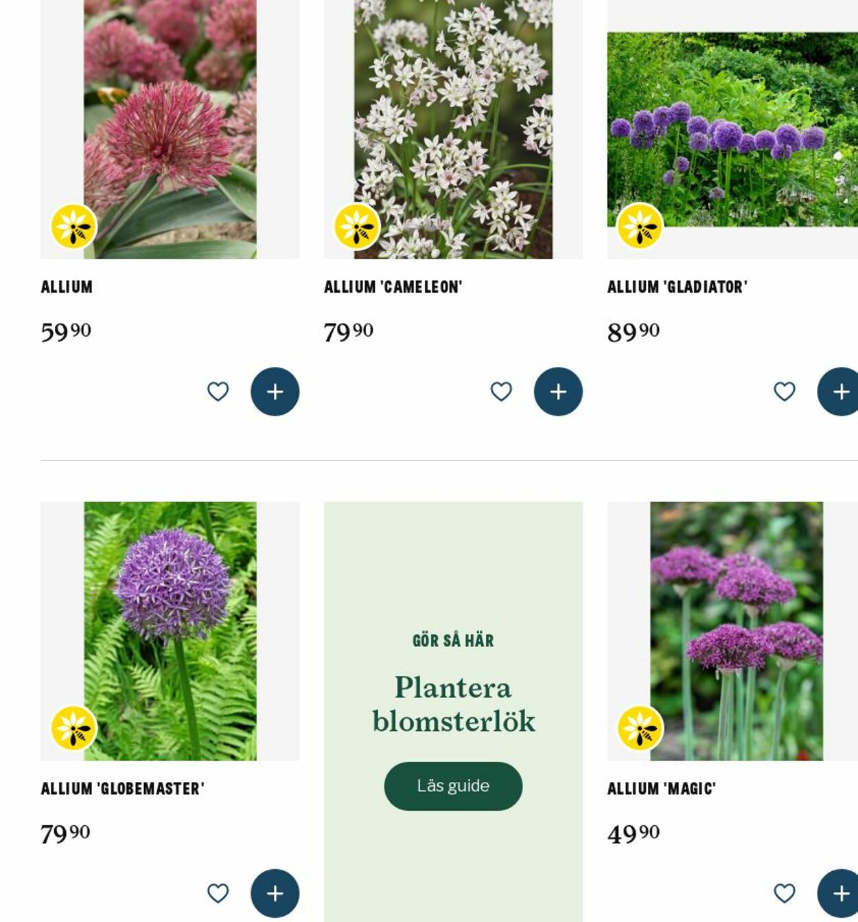 Erbjudanden Blomsterlandet - Blomsterlök - köp blomsterlök hos Blomsterlandet 21 jul, 2025 - 30 jul, 2025