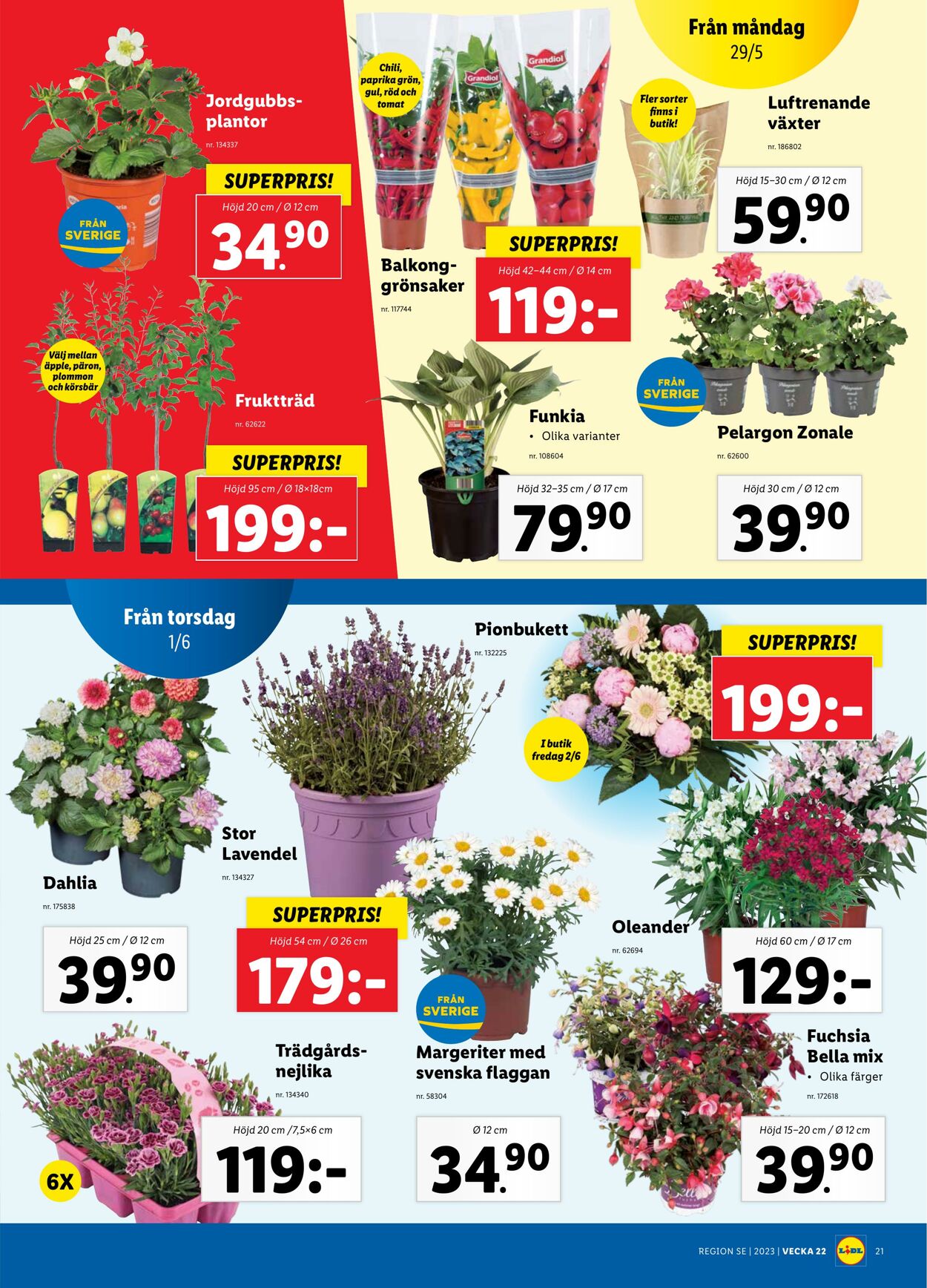 Erbjudanden Lidl 29.05.2023 - 04.06.2023