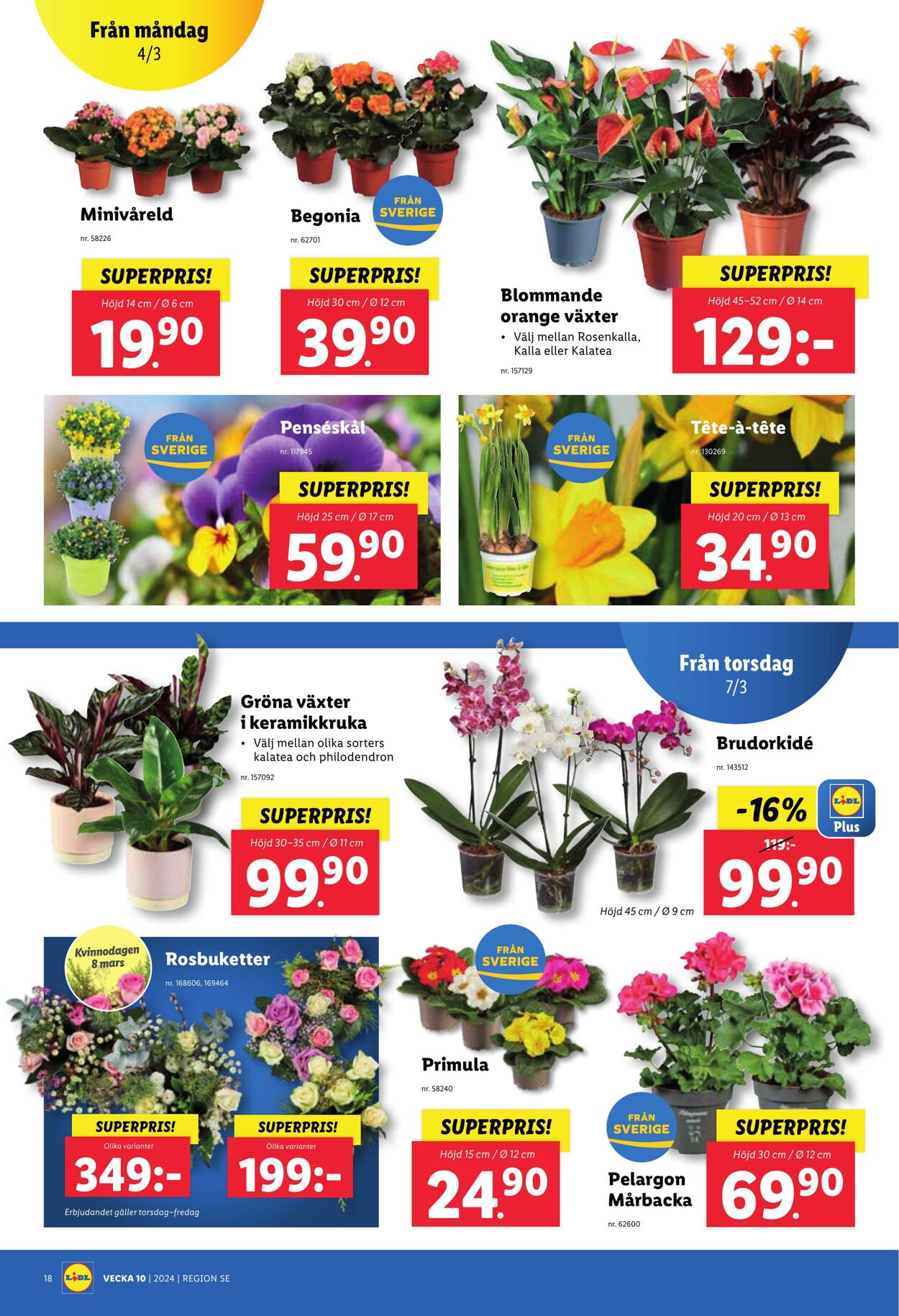 Erbjudanden Lidl 04.03.2024 - 10.03.2024