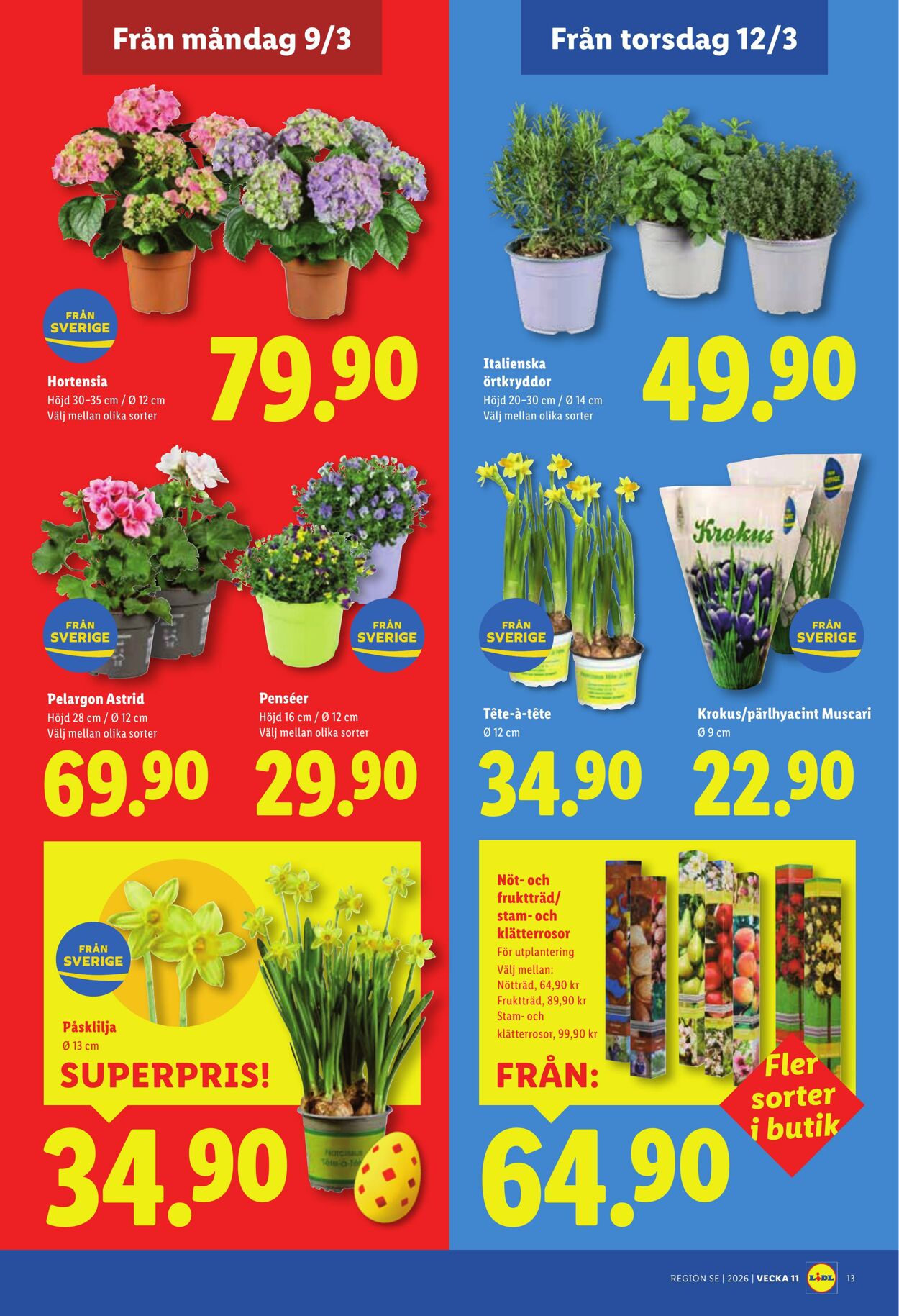 Erbjudanden Lidl 09.03.2026 - 15.03.2026