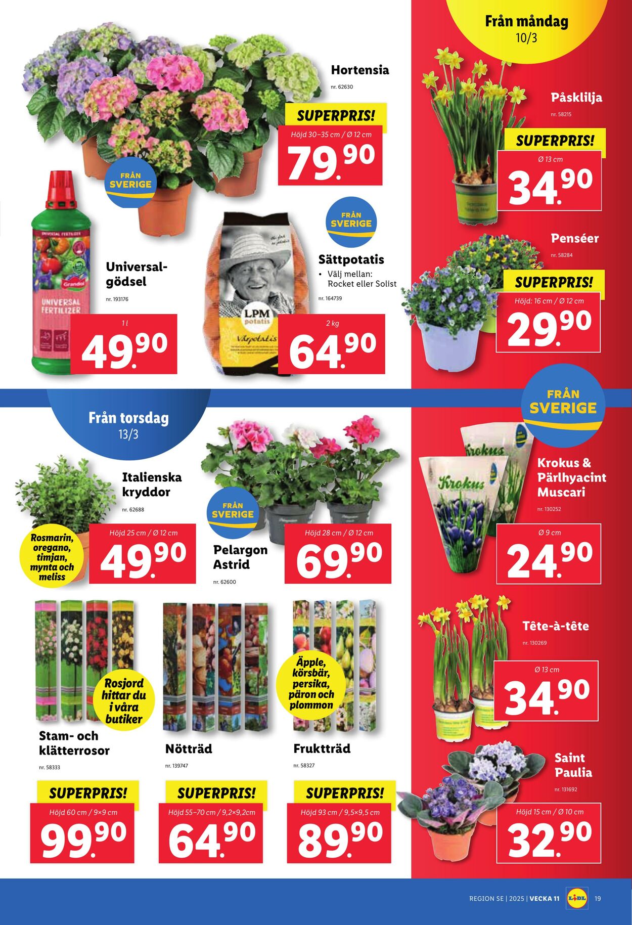 Erbjudanden Lidl 10.03.2025 - 16.03.2025