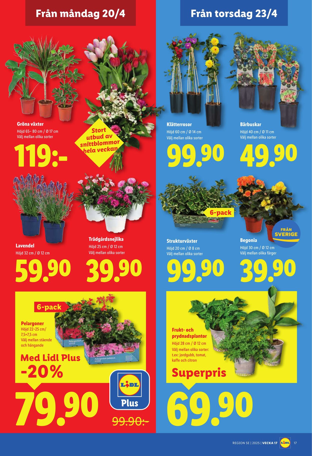 Erbjudanden Lidl 20.04.2026 - 26.04.2026