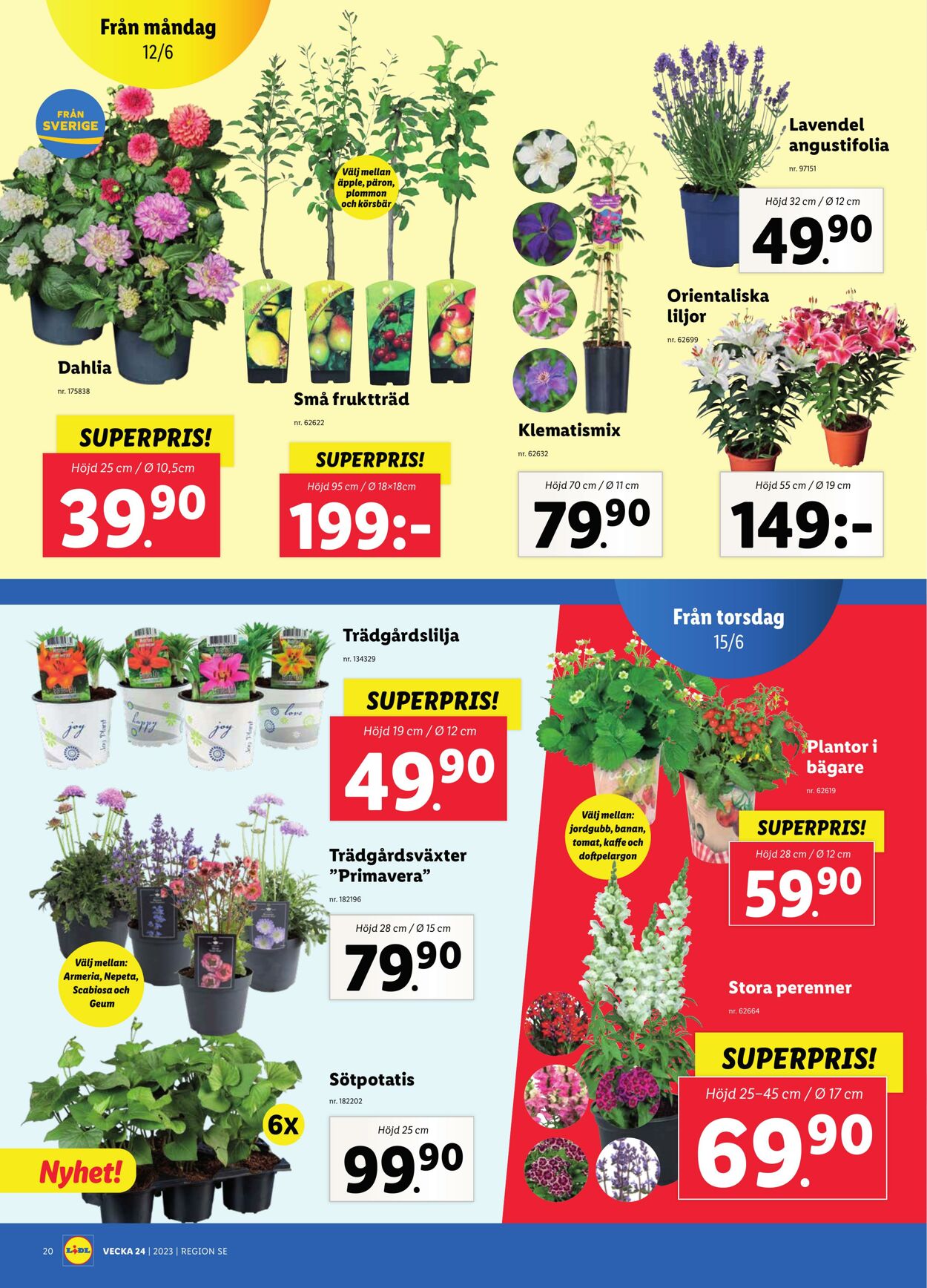 Erbjudanden Lidl 12.06.2023 - 18.06.2023