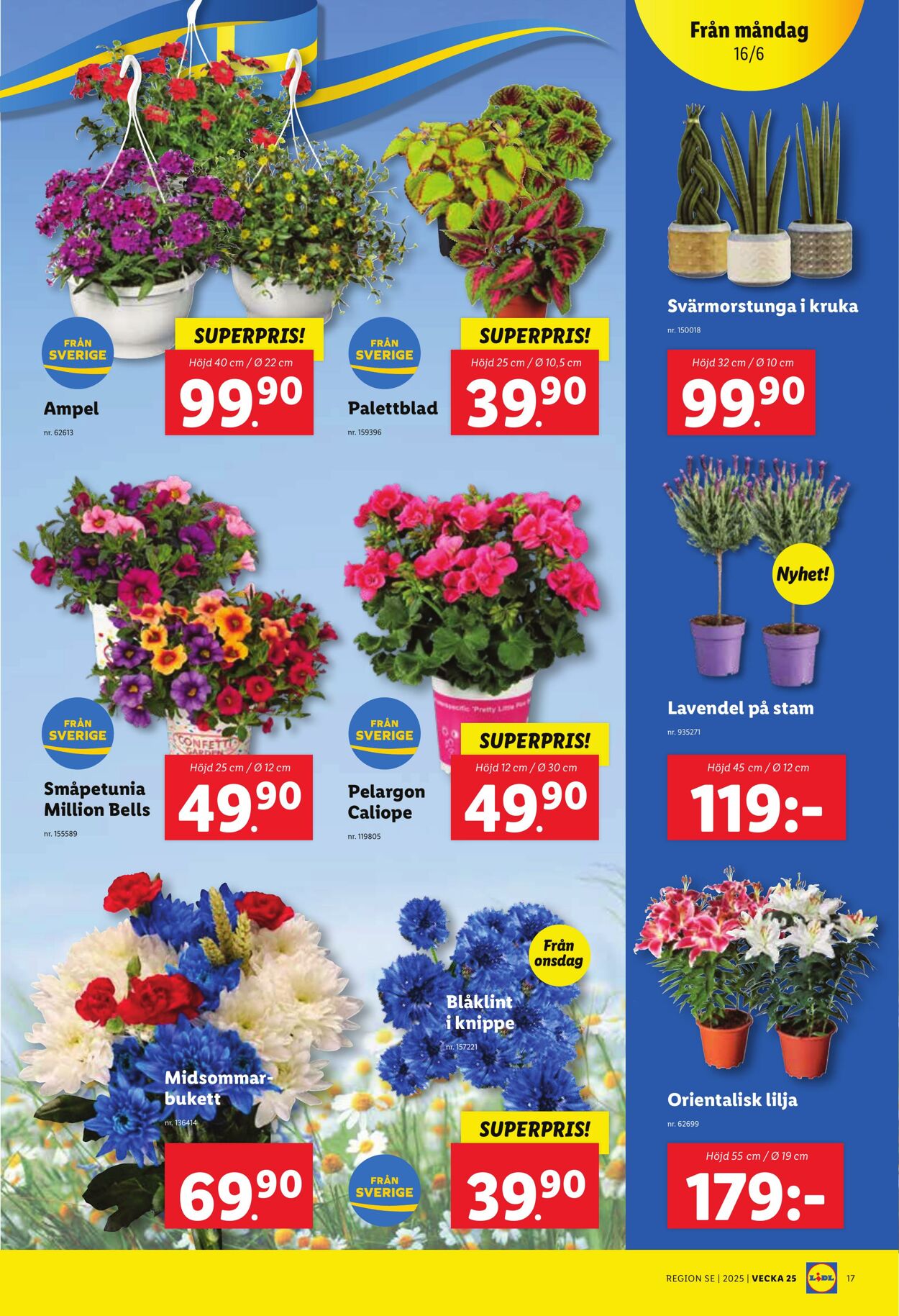 Erbjudanden Lidl 16.06.2025 - 22.06.2025