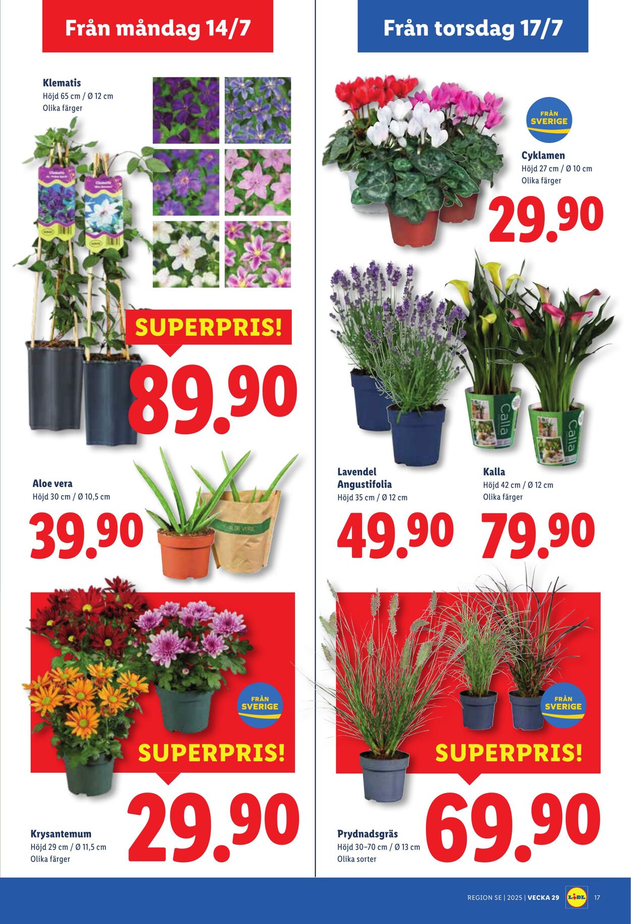 Erbjudanden Lidl 14.07.2025 - 20.07.2025