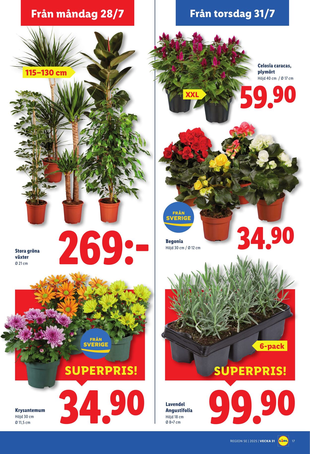 Erbjudanden Lidl 28.07.2025 - 03.08.2025