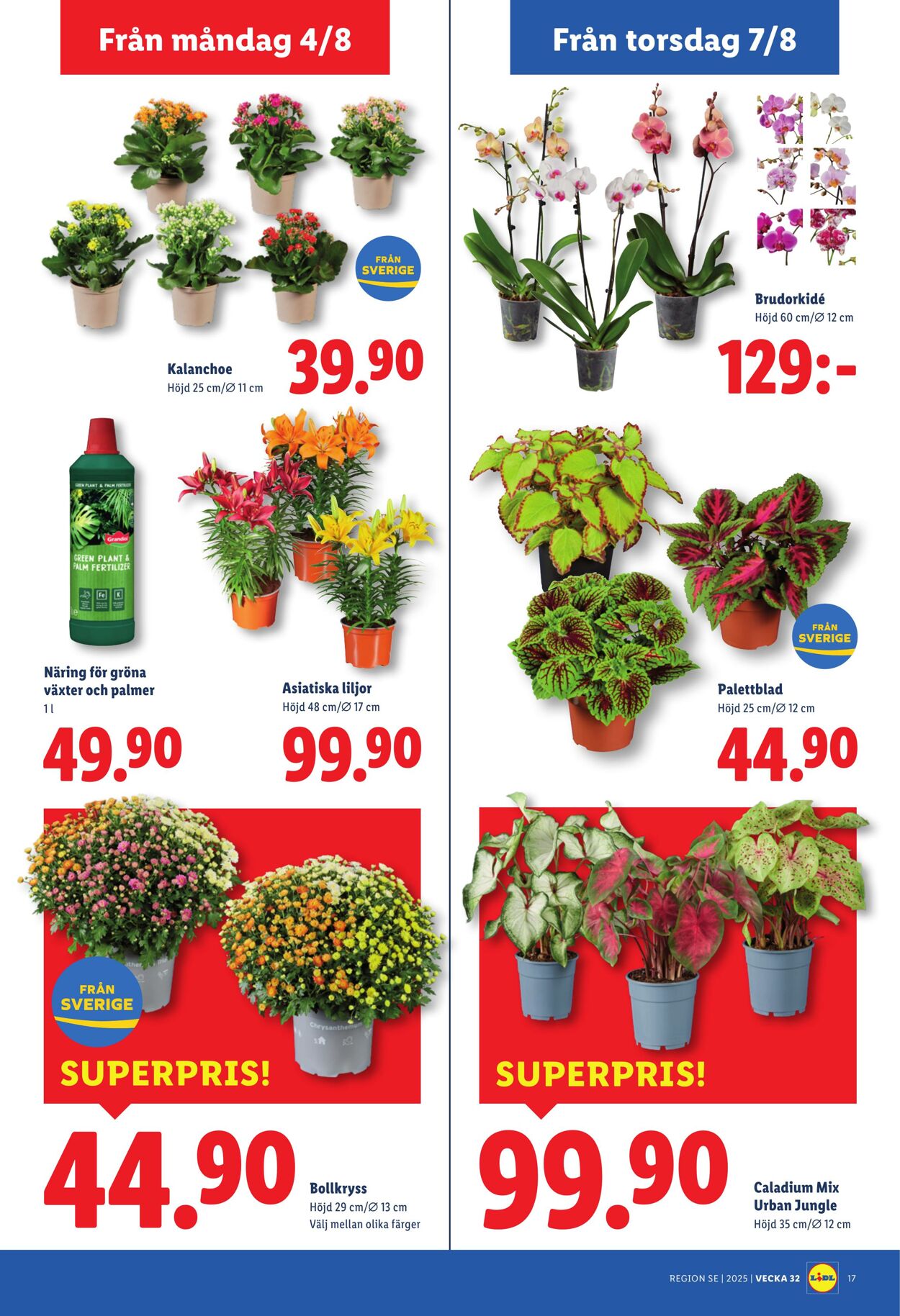 Erbjudanden Lidl 04.08.2025 - 10.08.2025