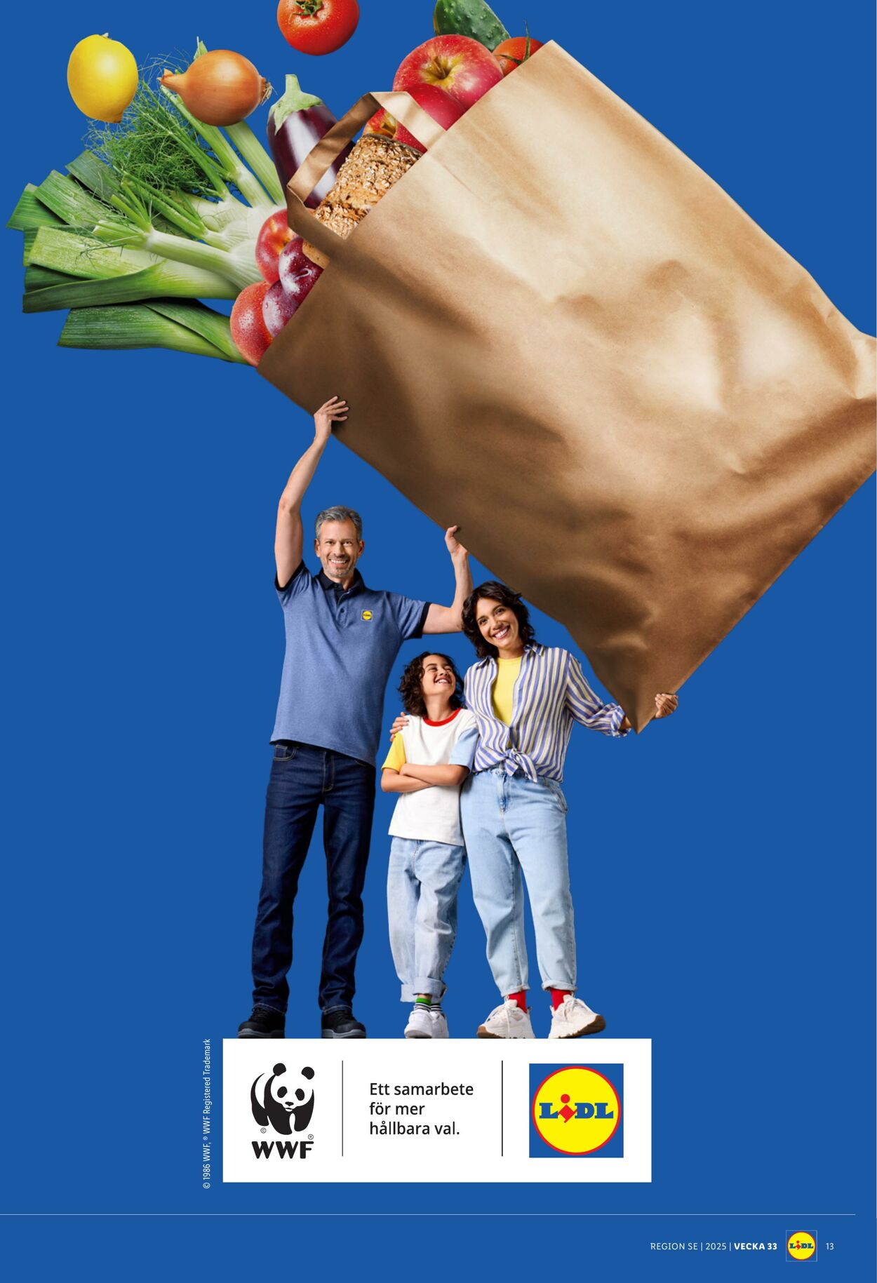 Erbjudanden Lidl 11.08.2025 - 17.08.2025