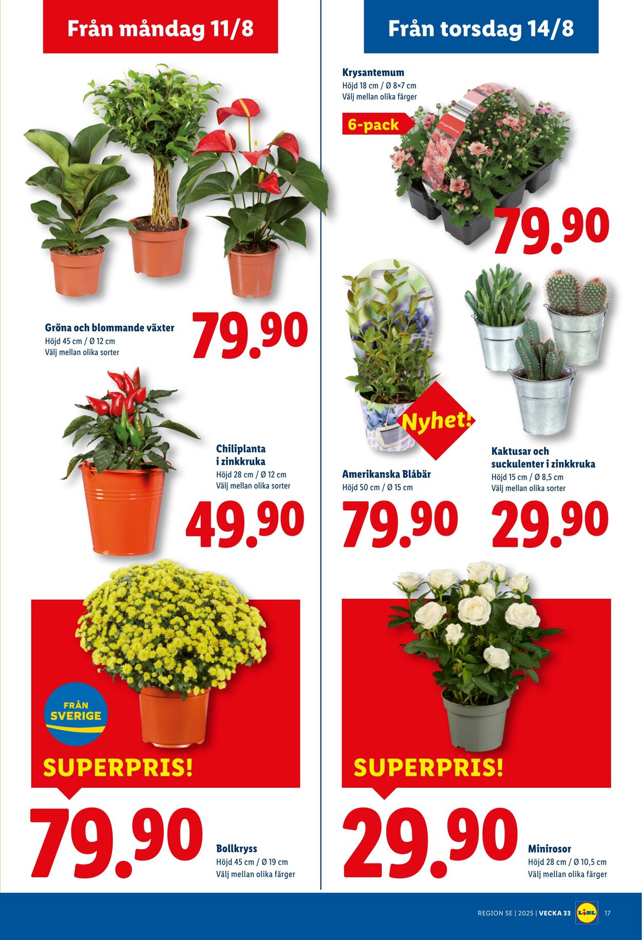 Erbjudanden Lidl 11.08.2025 - 17.08.2025