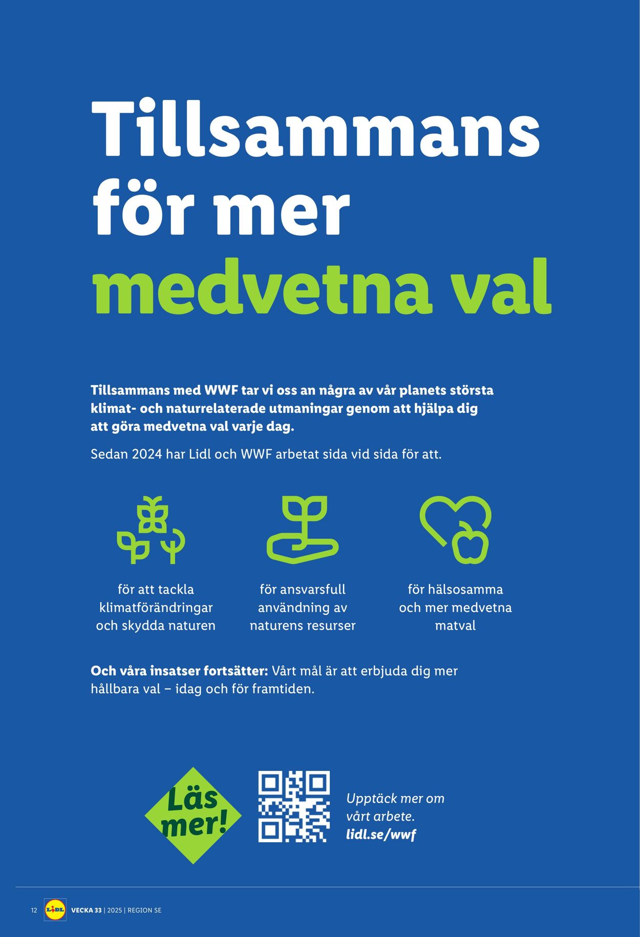 Erbjudanden Lidl 11.08.2025 - 17.08.2025