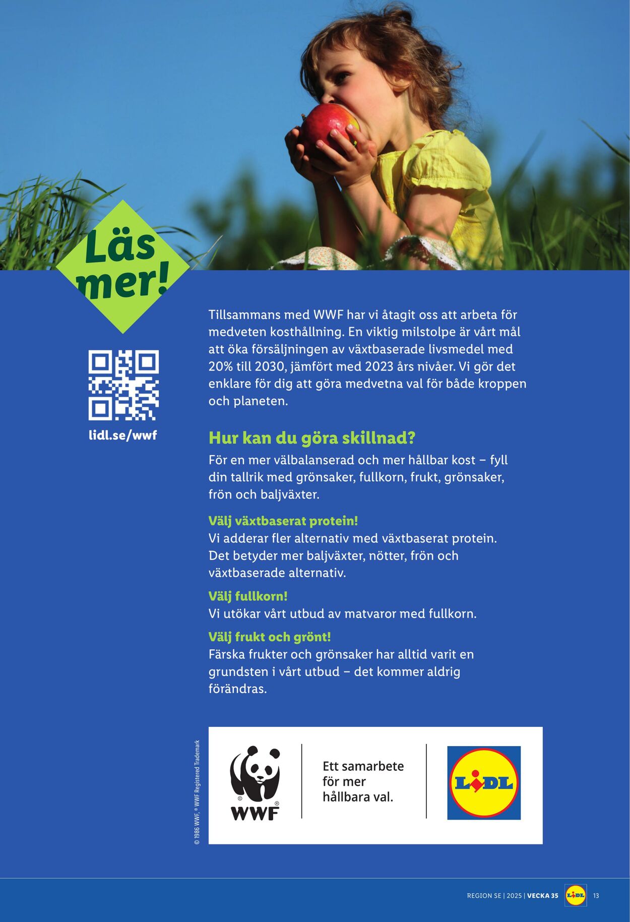 Erbjudanden Lidl 25.08.2025 - 31.08.2025