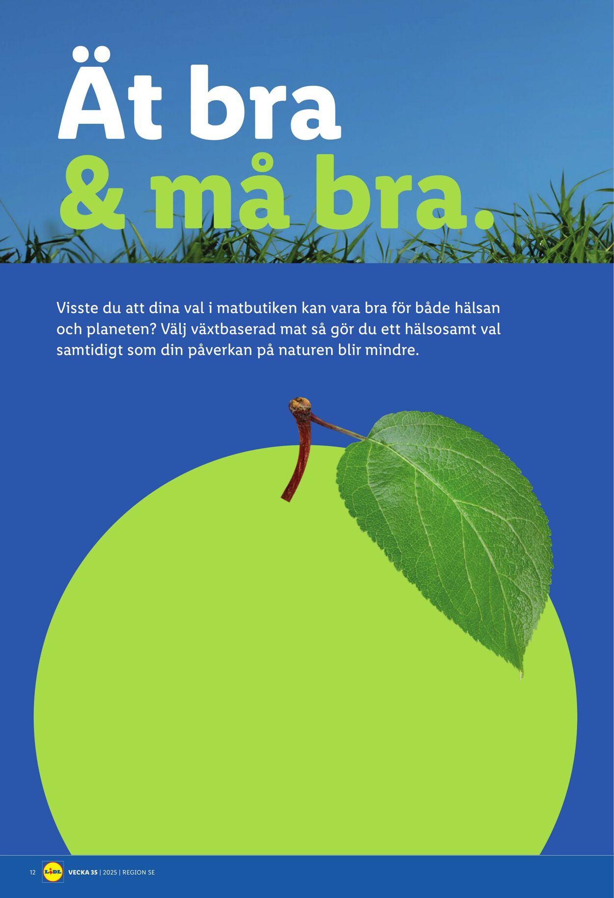 Erbjudanden Lidl 25.08.2025 - 31.08.2025