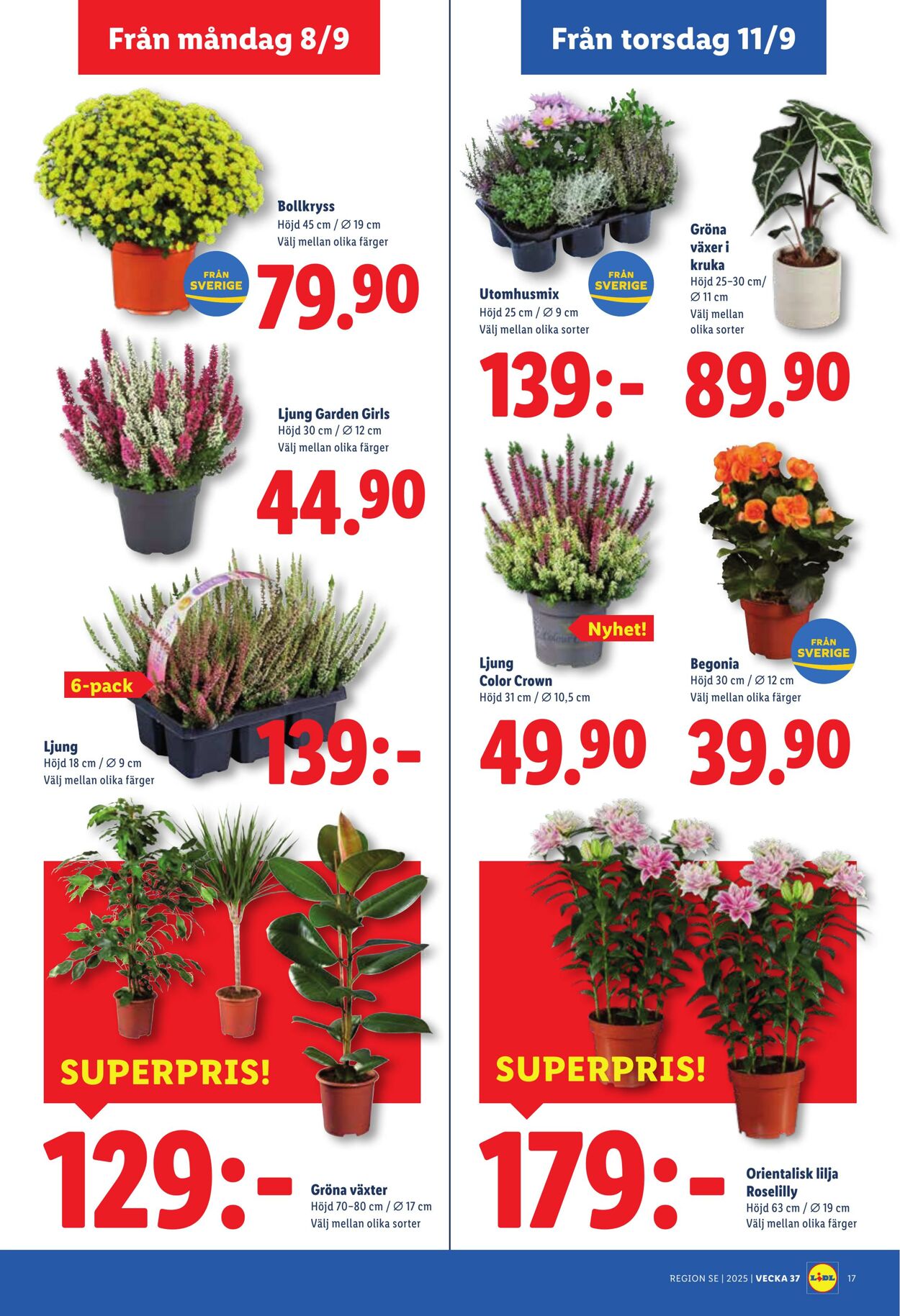 Erbjudanden Lidl 08.09.2025 - 14.09.2025