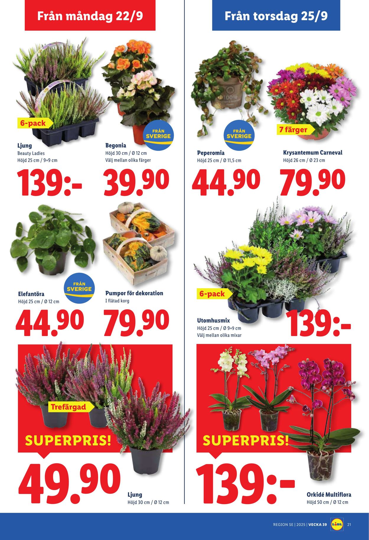 Erbjudanden Lidl 22.09.2025 - 28.09.2025