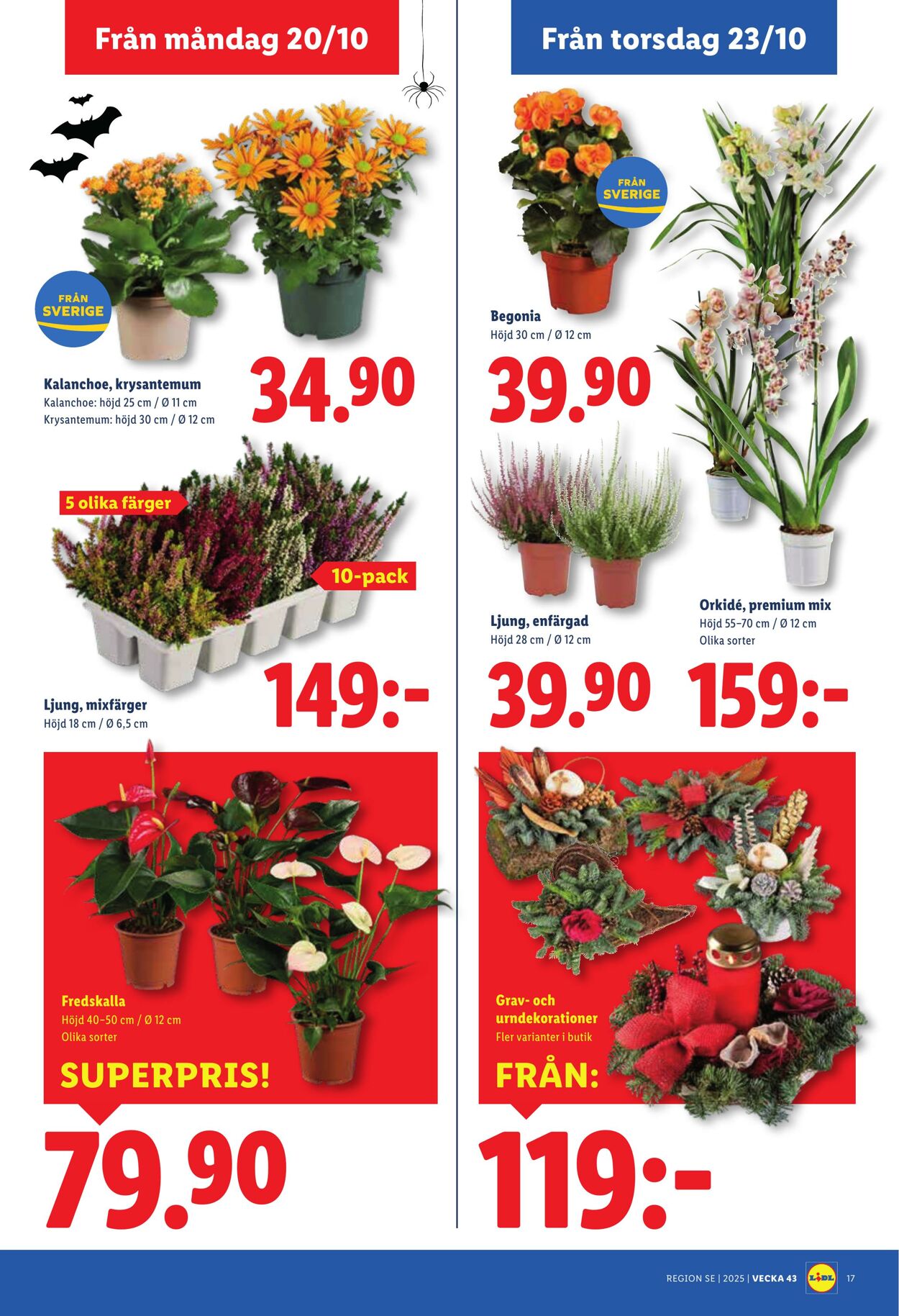 Erbjudanden Lidl 20.10.2025 - 26.10.2025