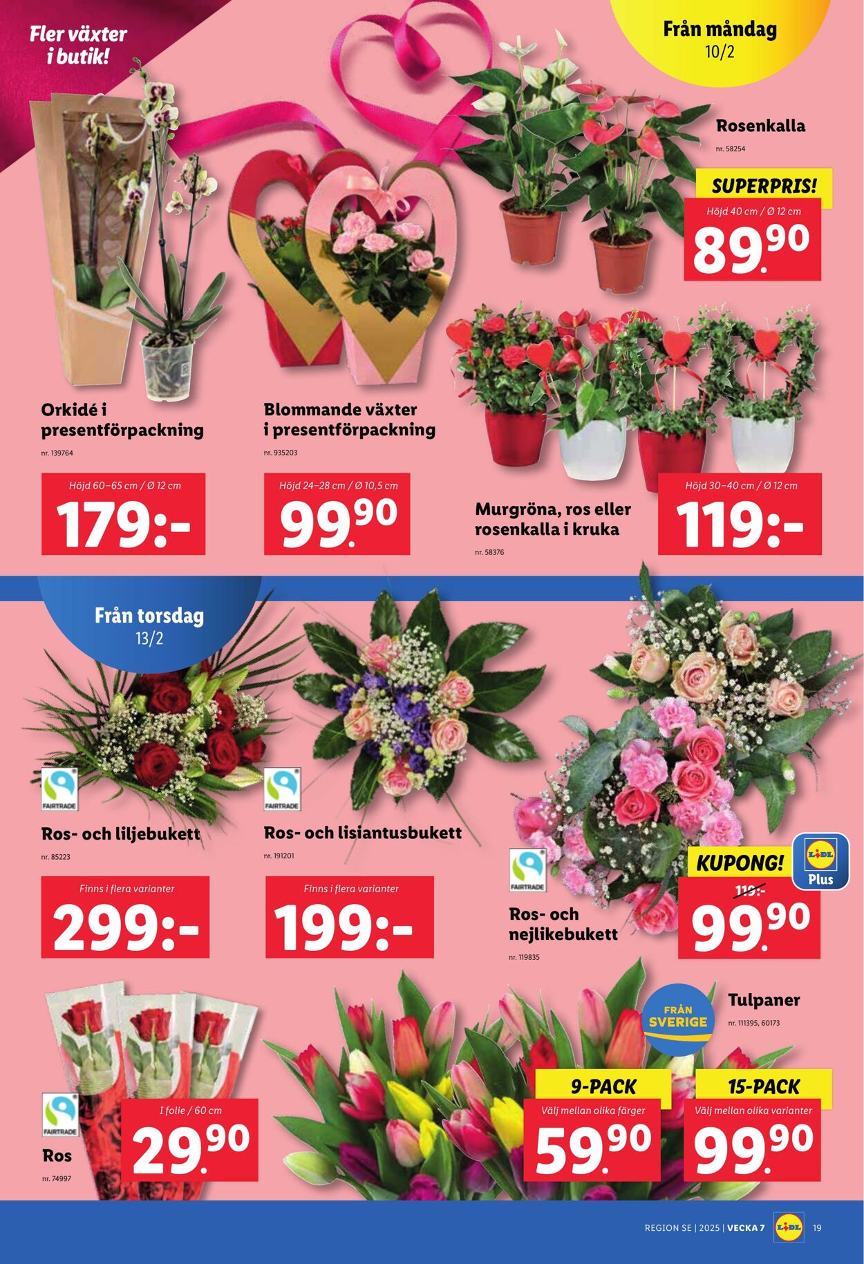 Erbjudanden Lidl 10.02.2025 - 16.02.2025