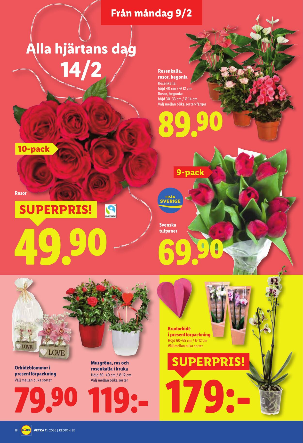 Erbjudanden Lidl 09.02.2026 - 15.02.2026