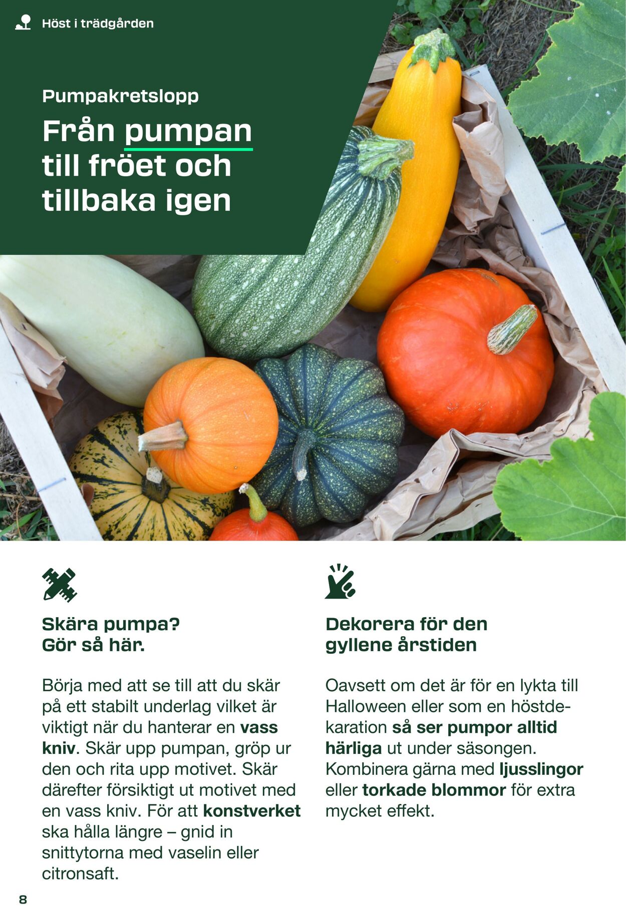 Erbjudanden Lidl 01.09.2025 - 12.10.2025