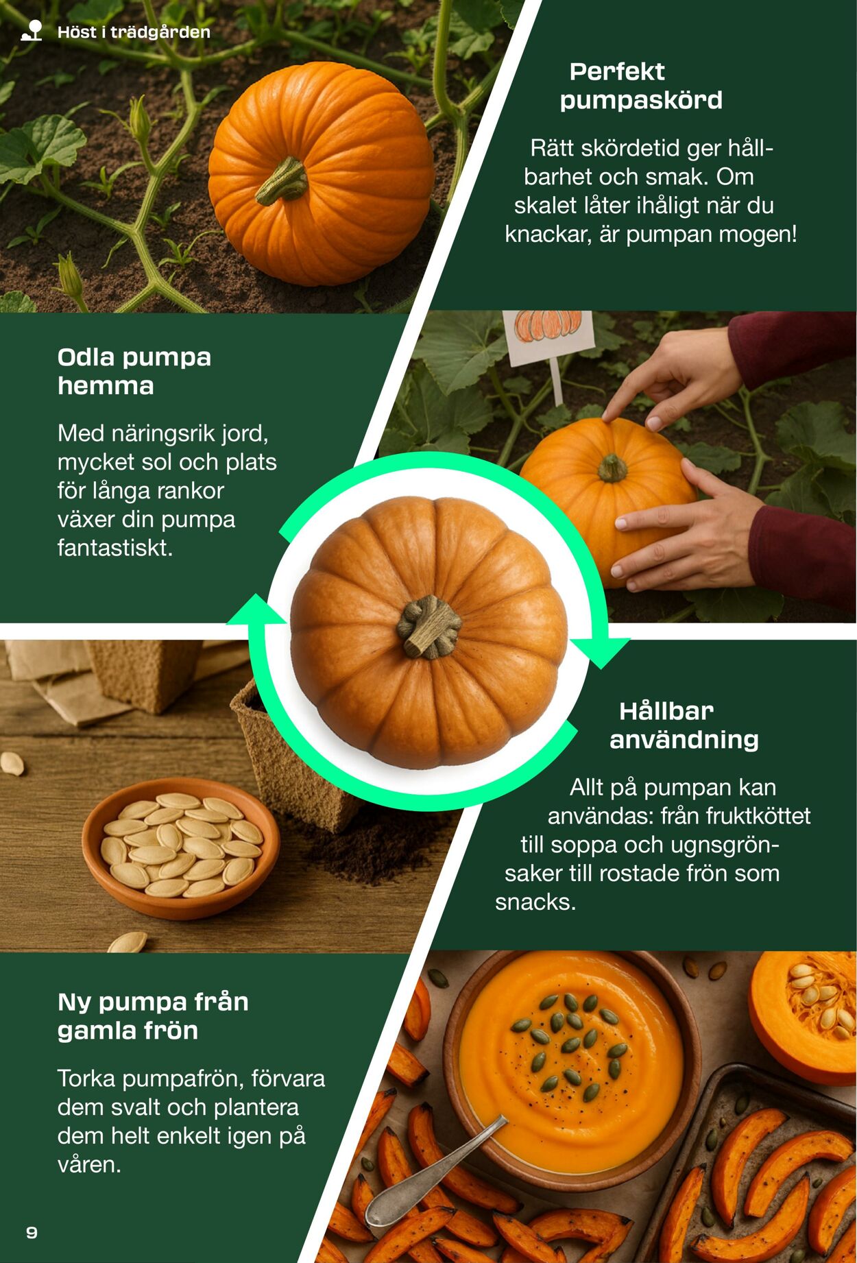 Erbjudanden Lidl 01.09.2025 - 12.10.2025