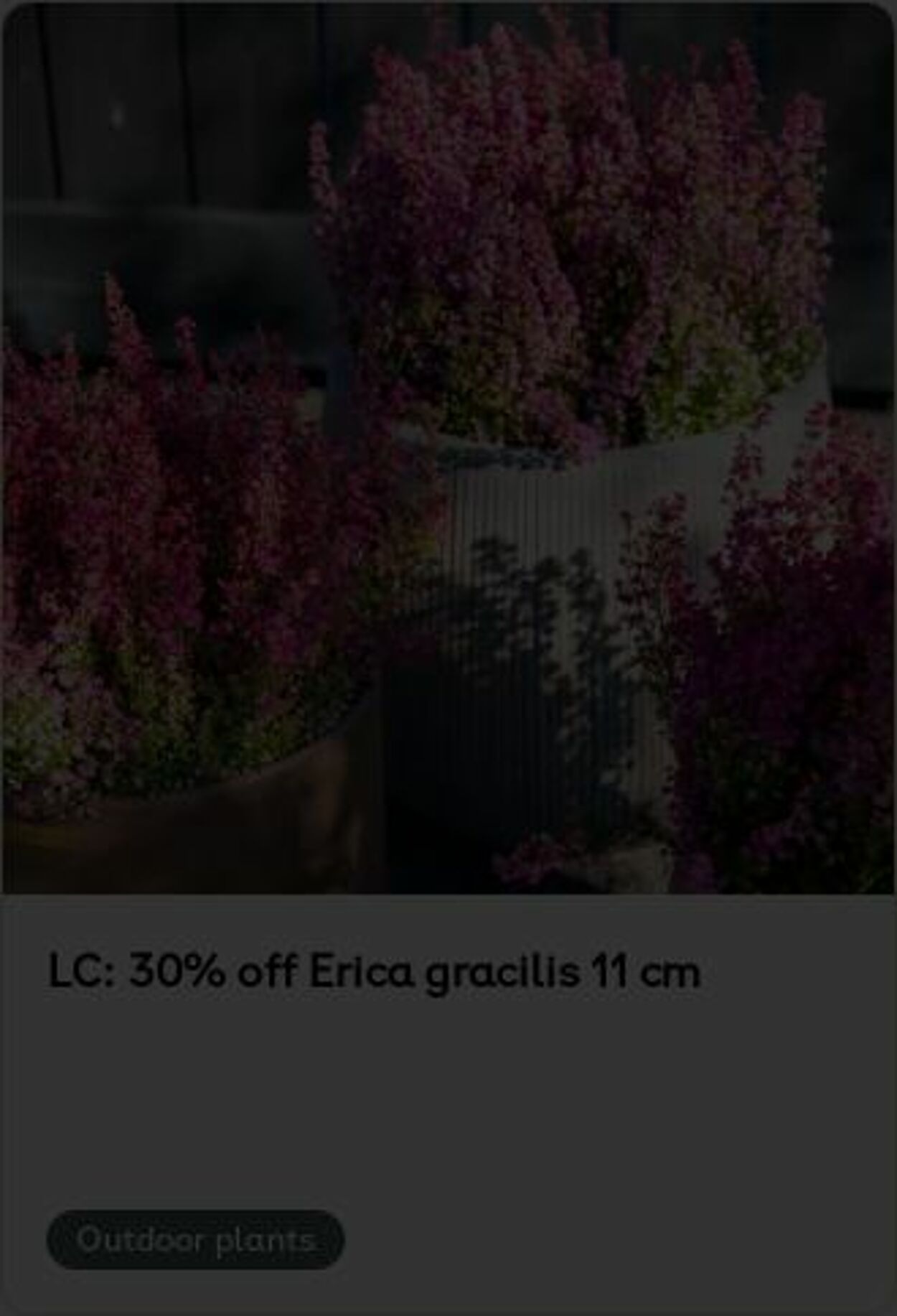 Erbjudanden Plantagen 06.10.2025 - 15.10.2025