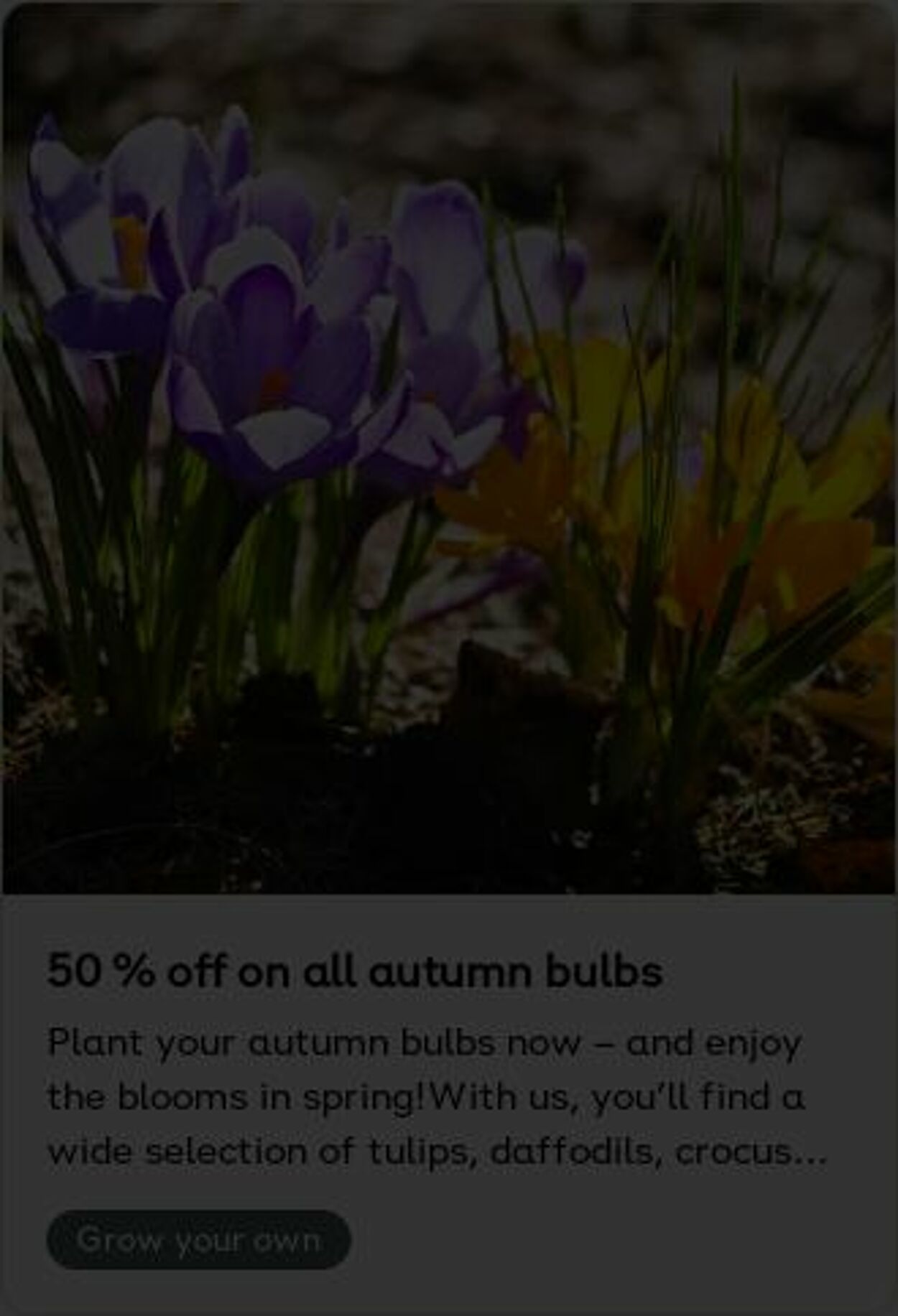 Erbjudanden Plantagen 06.10.2025 - 15.10.2025
