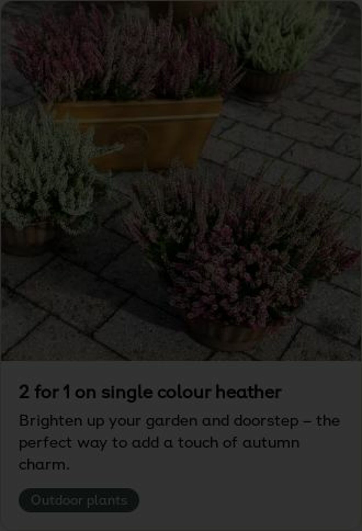 Erbjudanden Plantagen 06.10.2025 - 15.10.2025