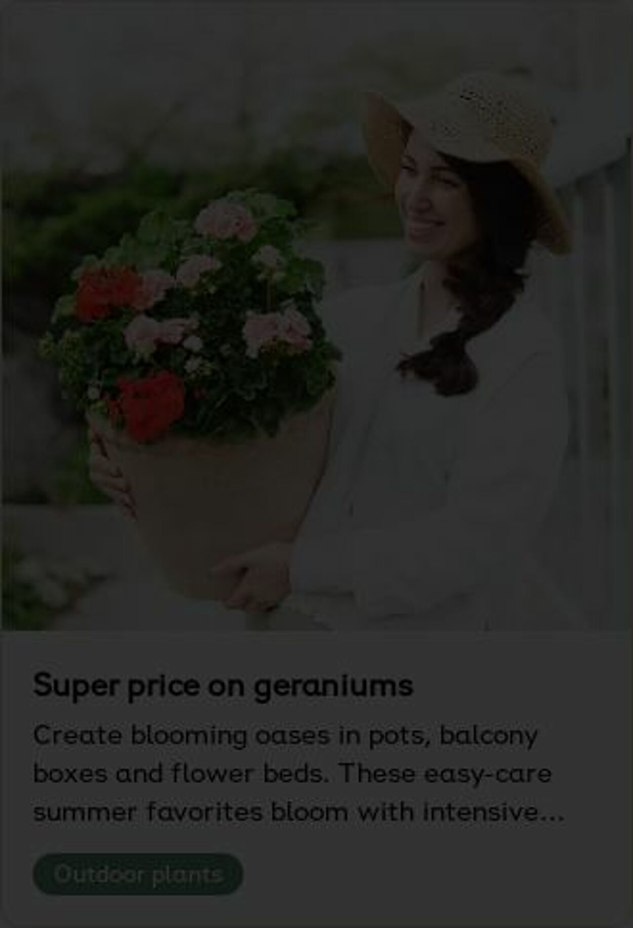 Erbjudanden Plantagen 26.05.2025 - 04.06.2025