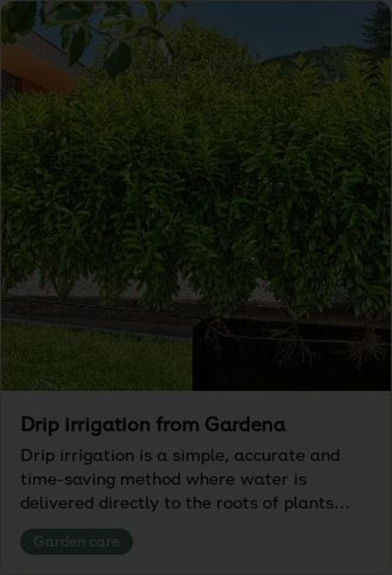 Erbjudanden Plantagen 26.05.2025 - 04.06.2025