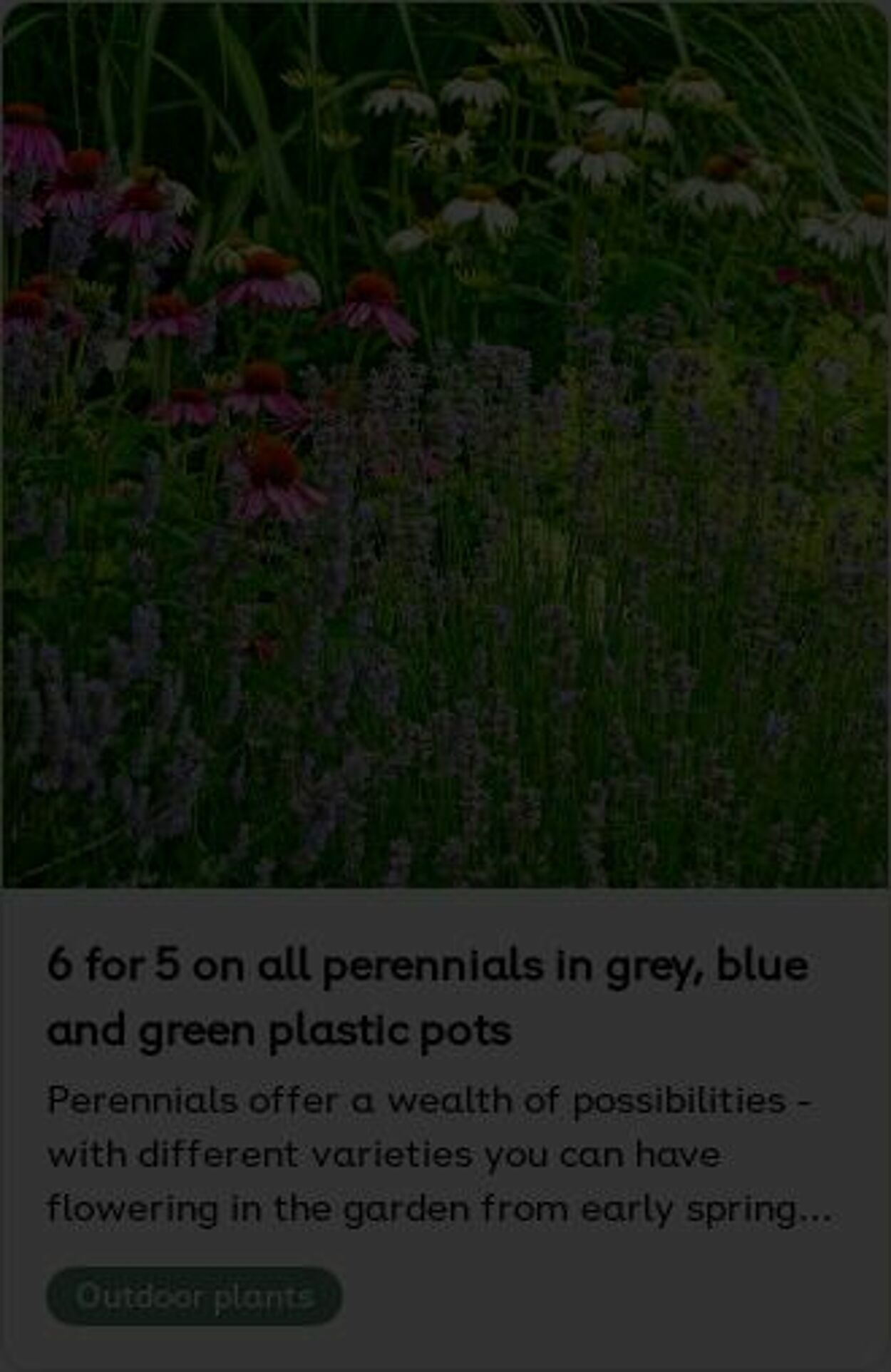 Erbjudanden Plantagen 26.05.2025 - 04.06.2025