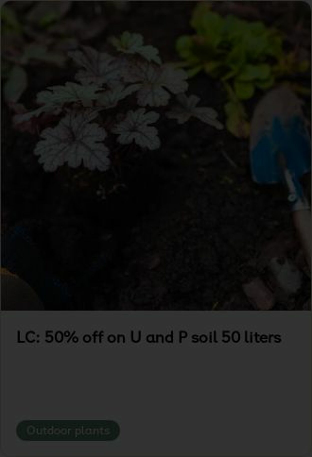 Erbjudanden Plantagen 26.05.2025 - 04.06.2025