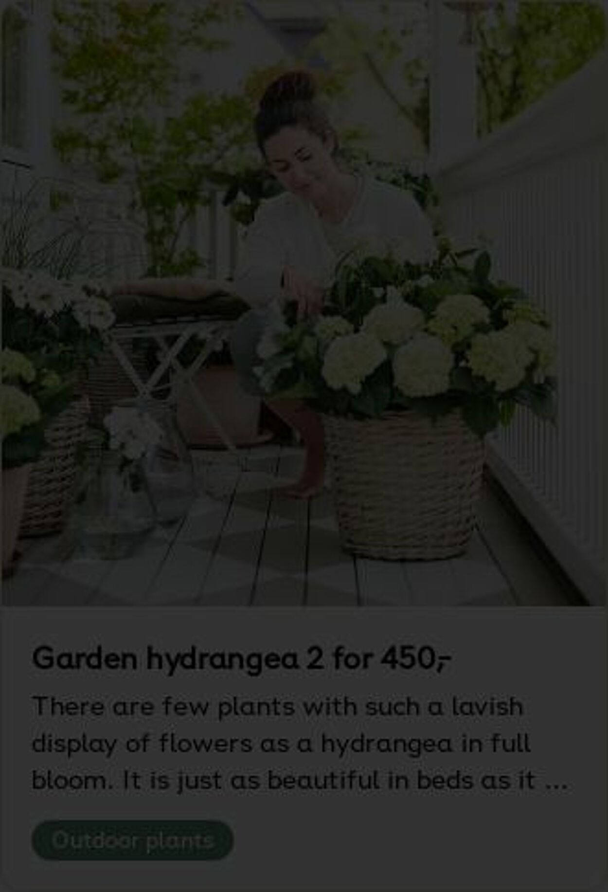 Erbjudanden Plantagen 26.05.2025 - 04.06.2025