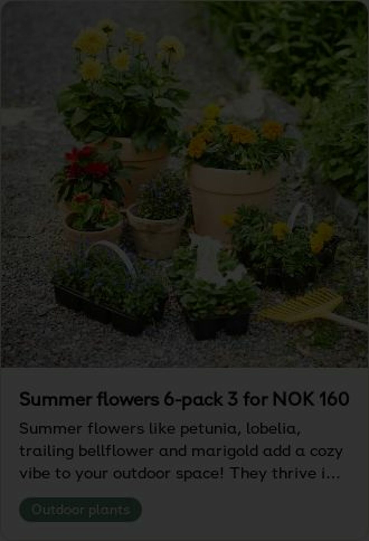 Erbjudanden Plantagen 26.05.2025 - 04.06.2025