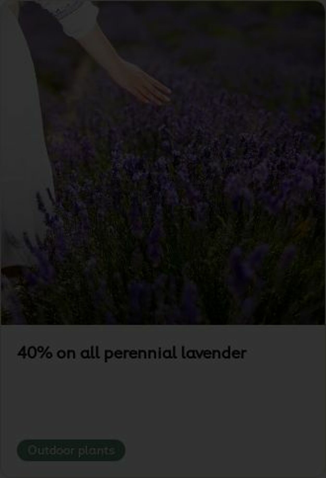 Erbjudanden Plantagen 26.05.2025 - 04.06.2025