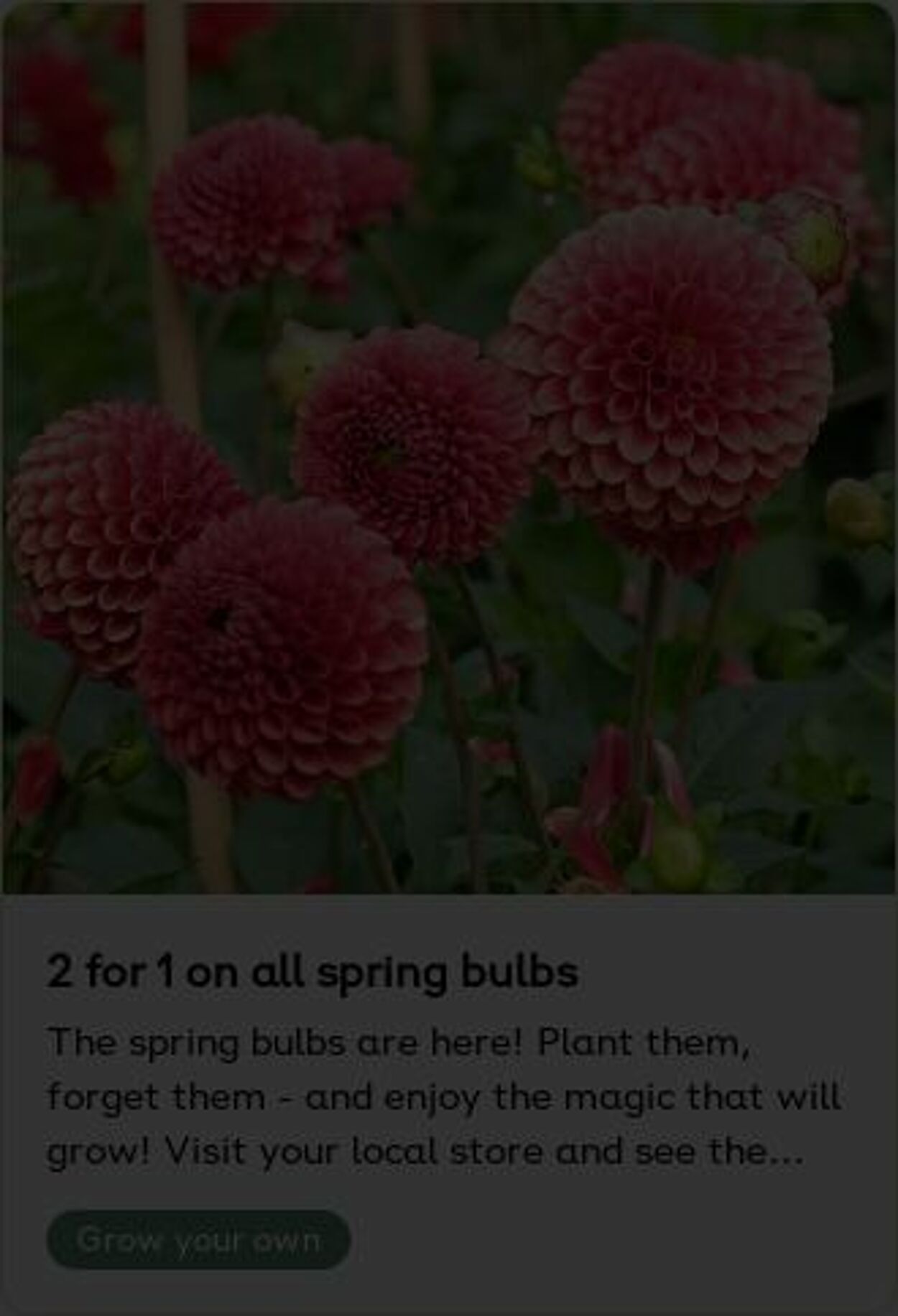 Erbjudanden Plantagen 26.05.2025 - 04.06.2025