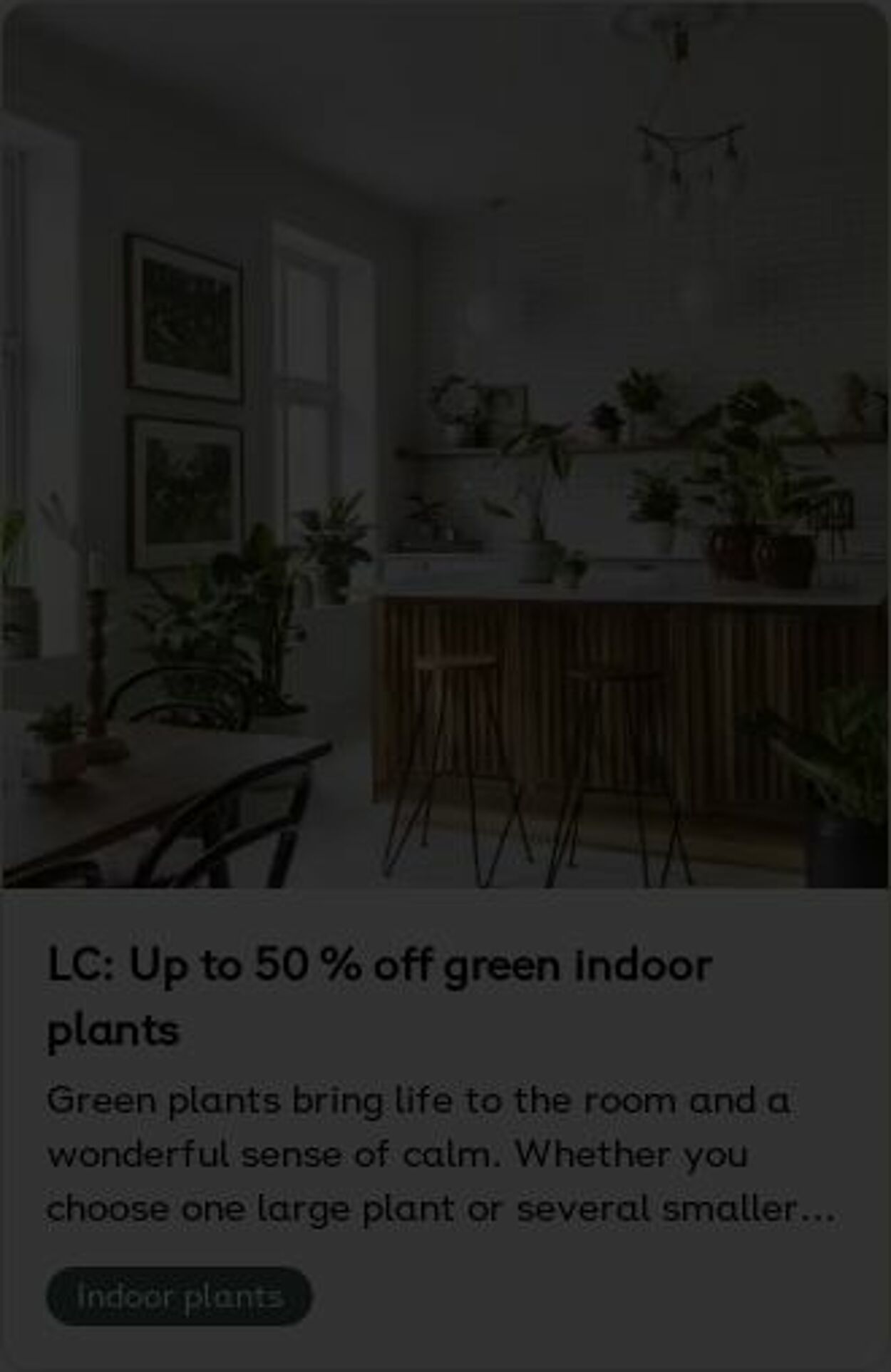 Erbjudanden Plantagen 05.01.2026 - 14.01.2026