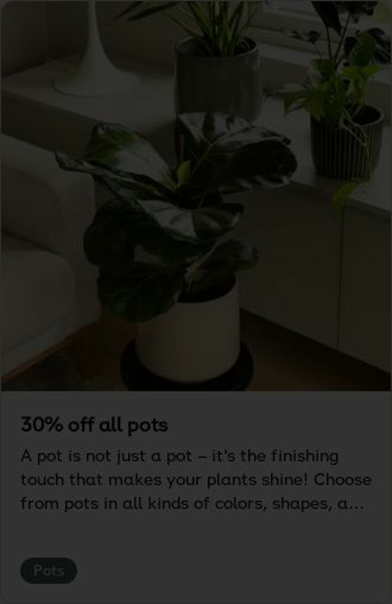 Erbjudanden Plantagen 13.10.2025 - 22.10.2025