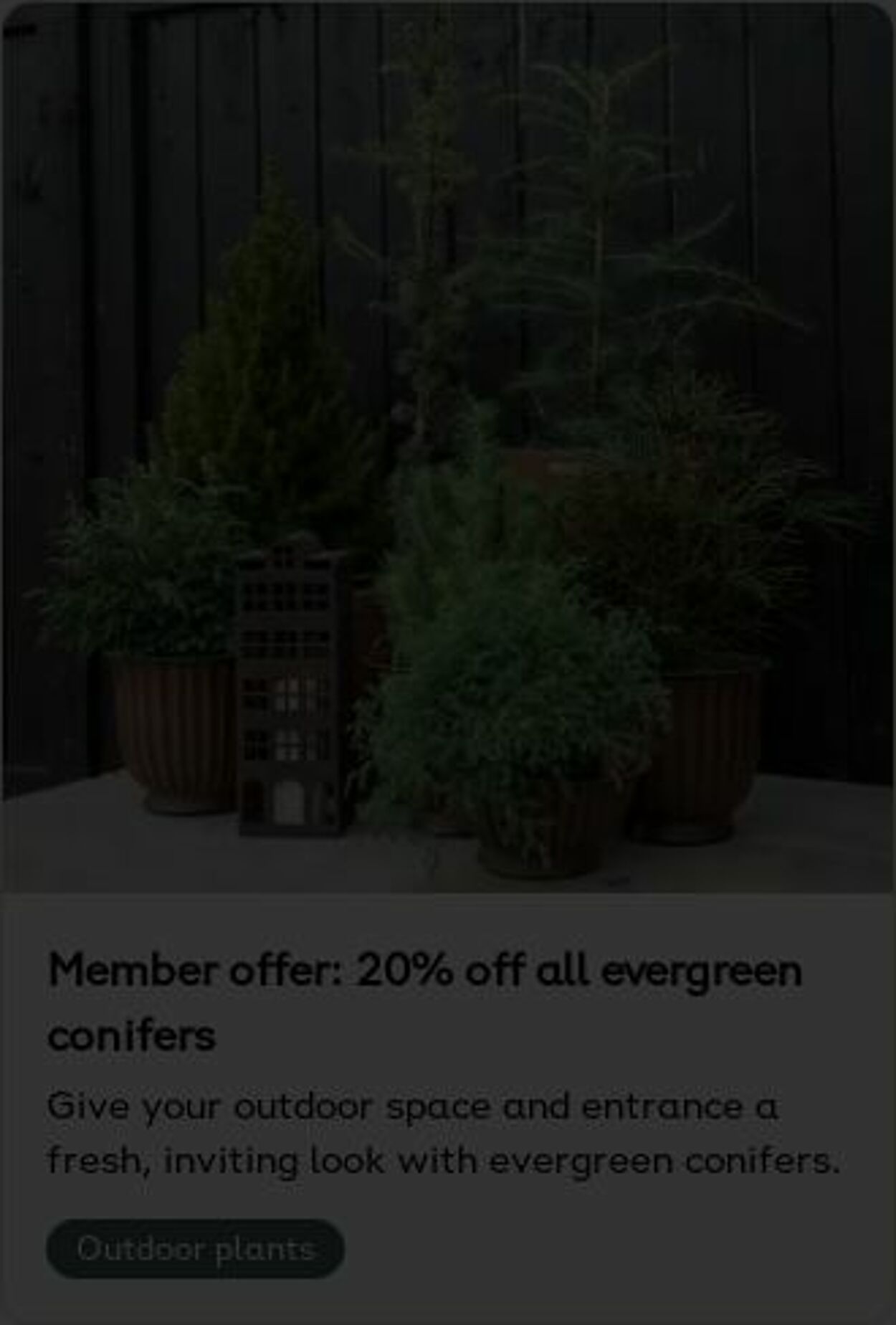 Erbjudanden Plantagen 27.10.2025 - 05.11.2025