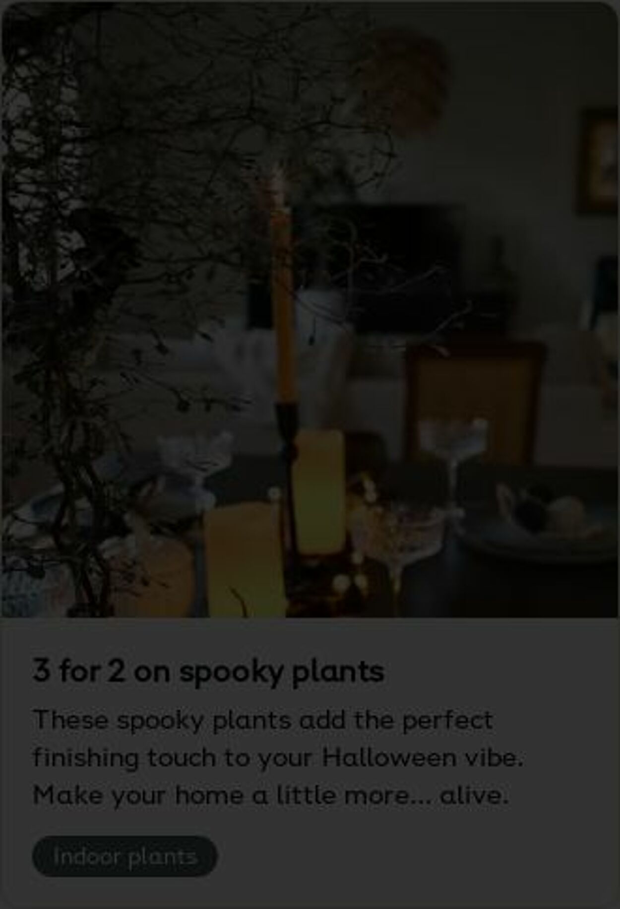 Erbjudanden Plantagen 27.10.2025 - 05.11.2025