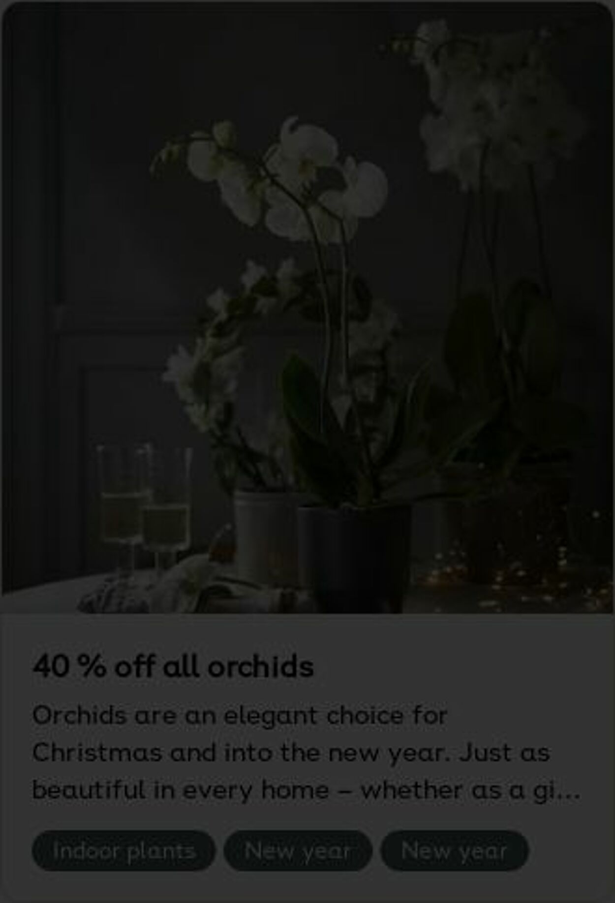 Erbjudanden Plantagen 22.12.2025 - 31.12.2025