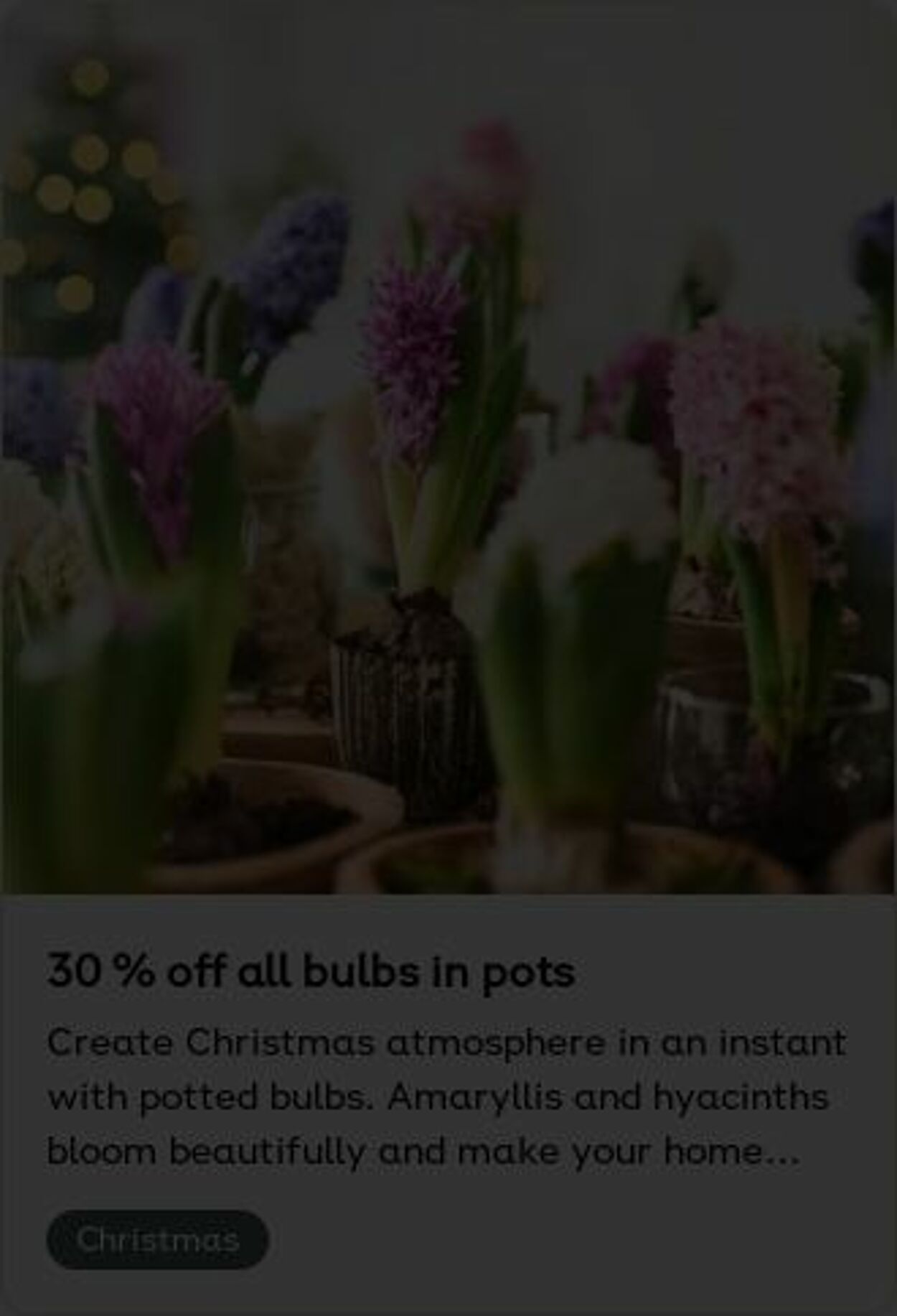 Erbjudanden Plantagen 22.12.2025 - 31.12.2025