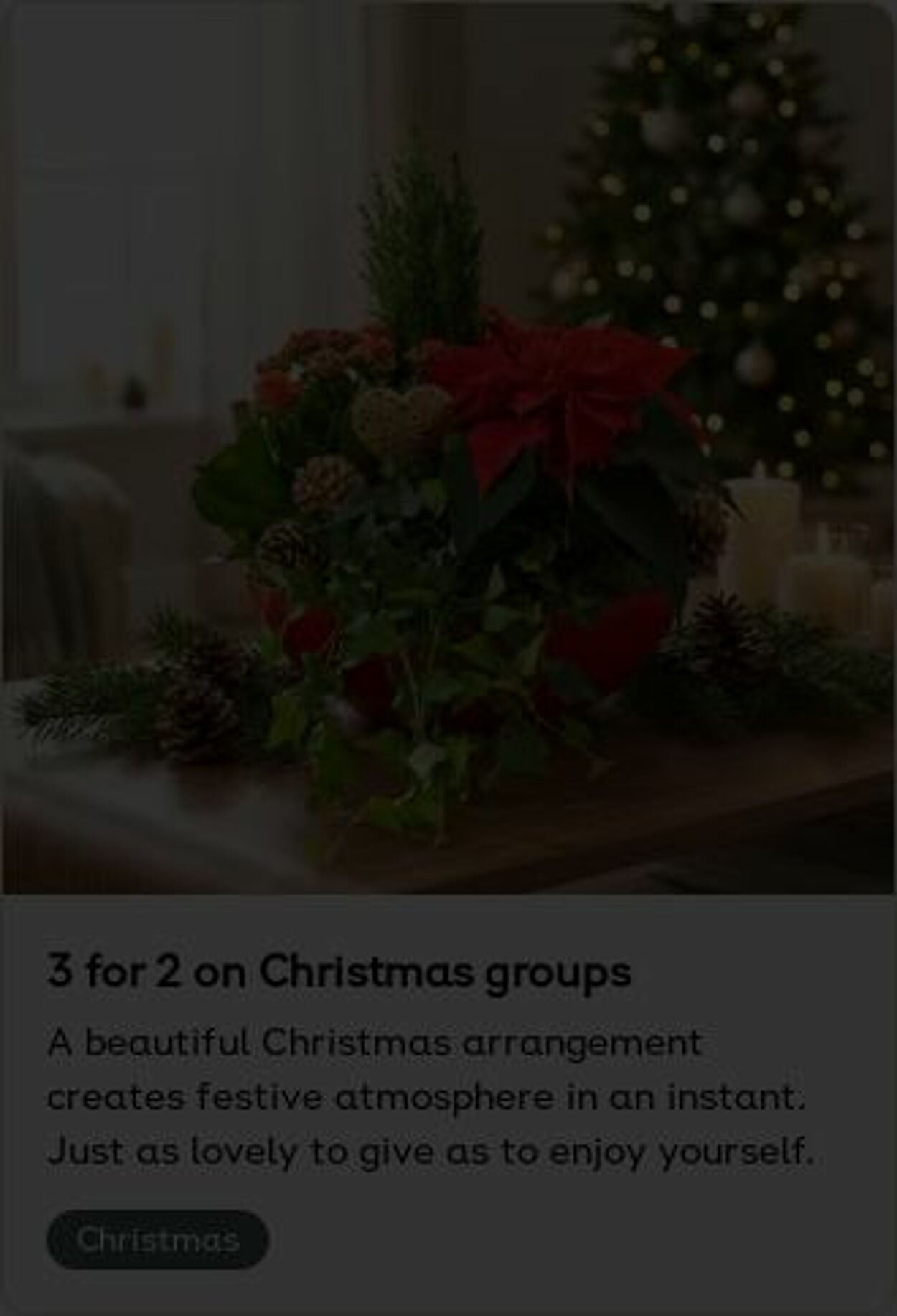 Erbjudanden Plantagen 22.12.2025 - 31.12.2025