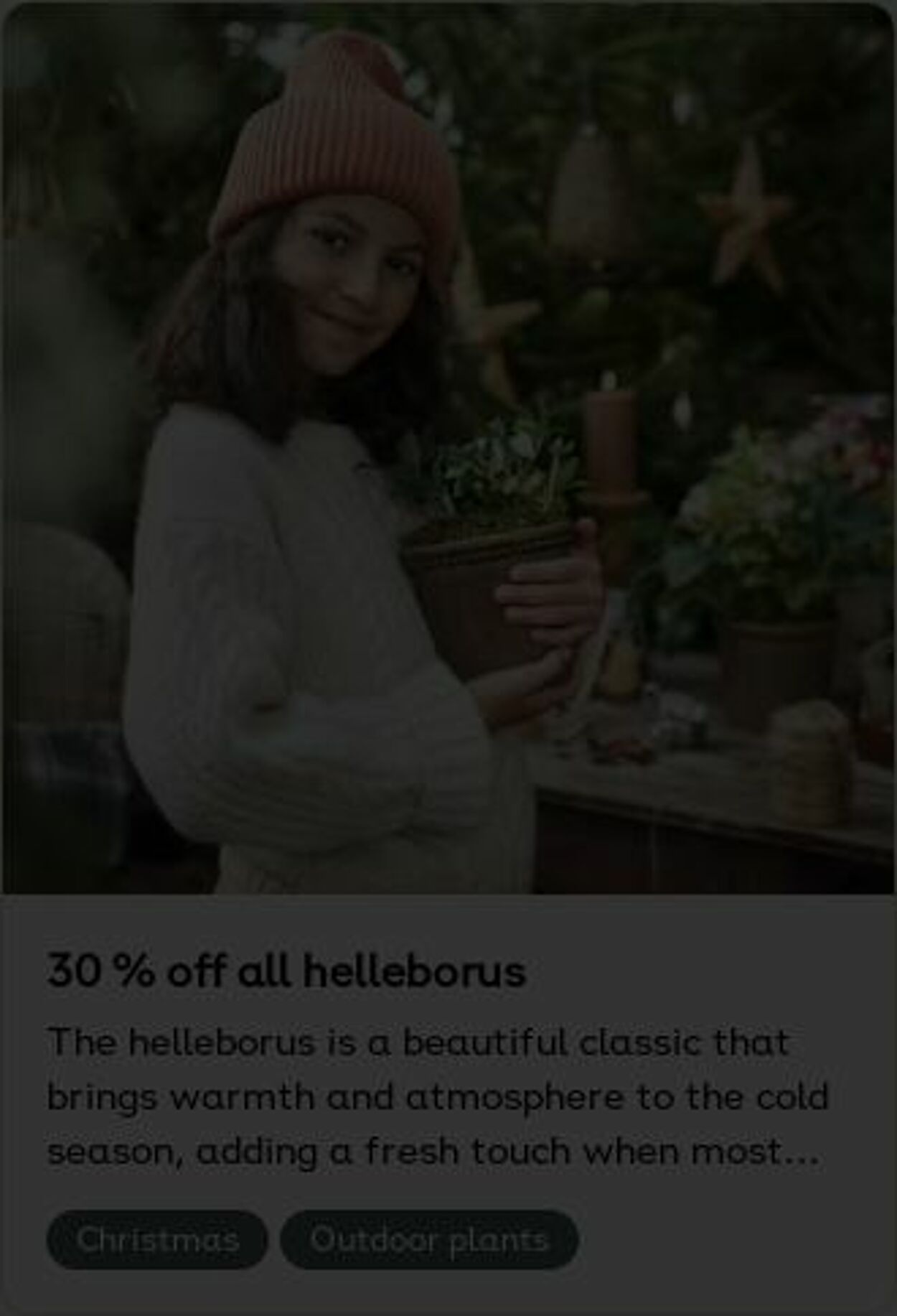 Erbjudanden Plantagen 22.12.2025 - 31.12.2025