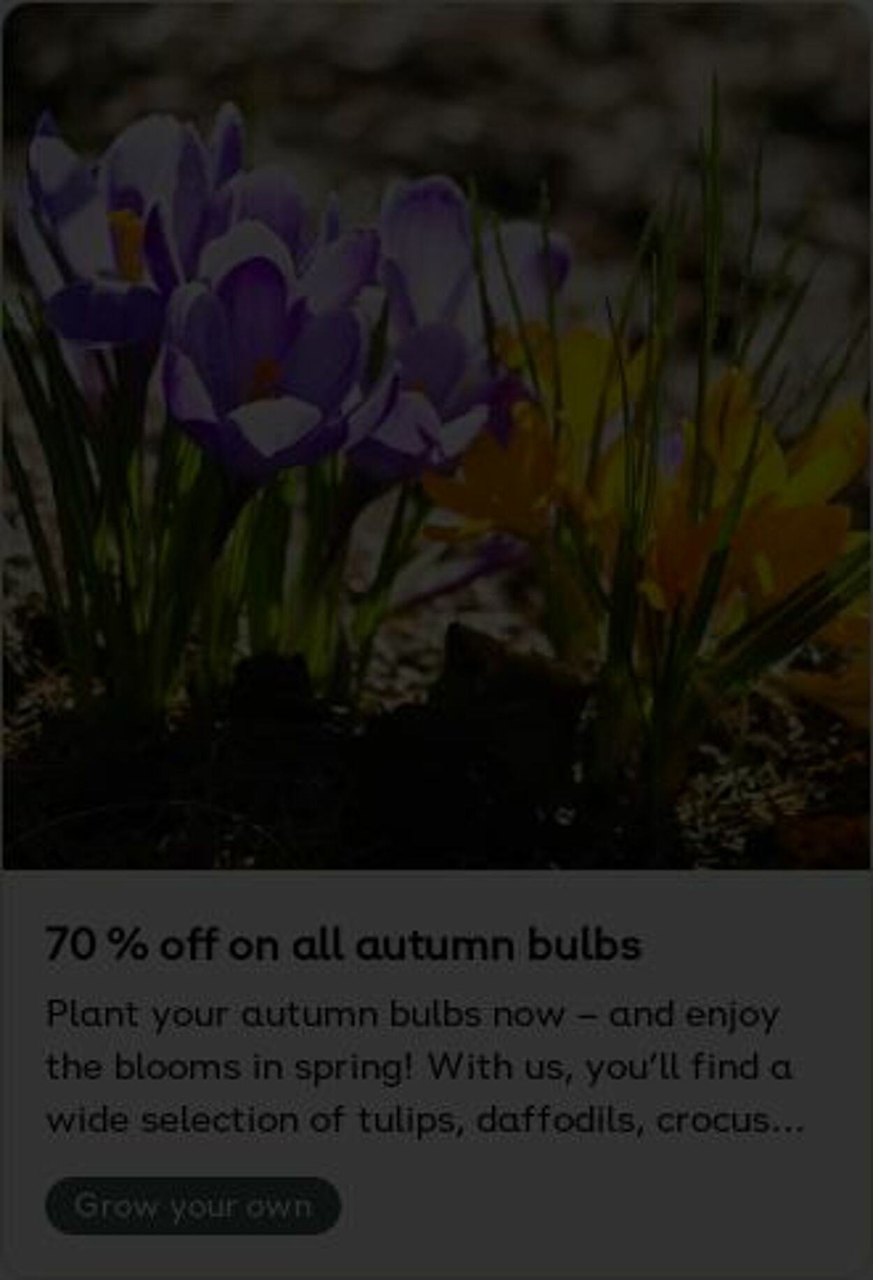 Erbjudanden Plantagen 20.10.2025 - 29.10.2025