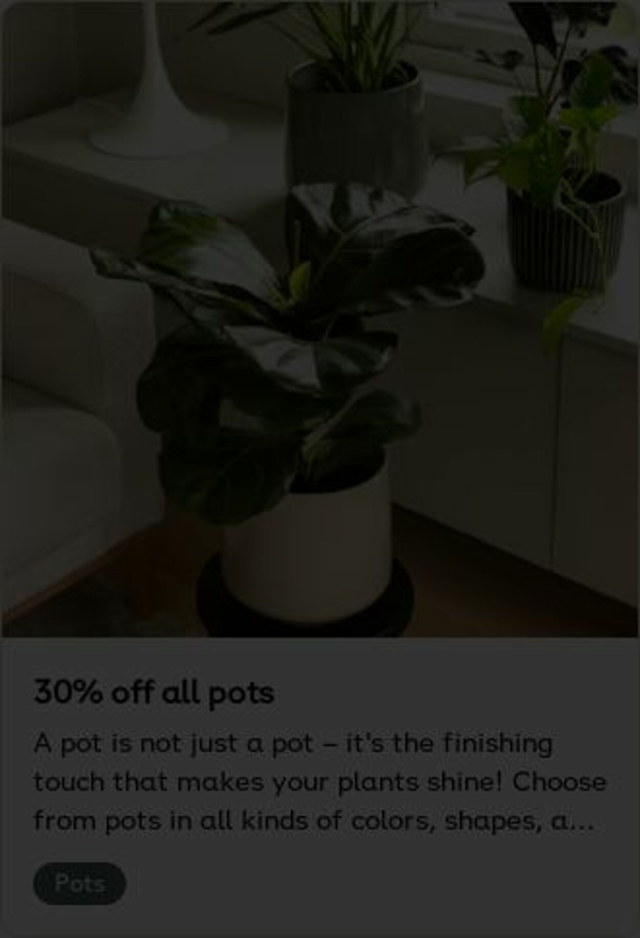 Erbjudanden Plantagen 20.10.2025 - 29.10.2025