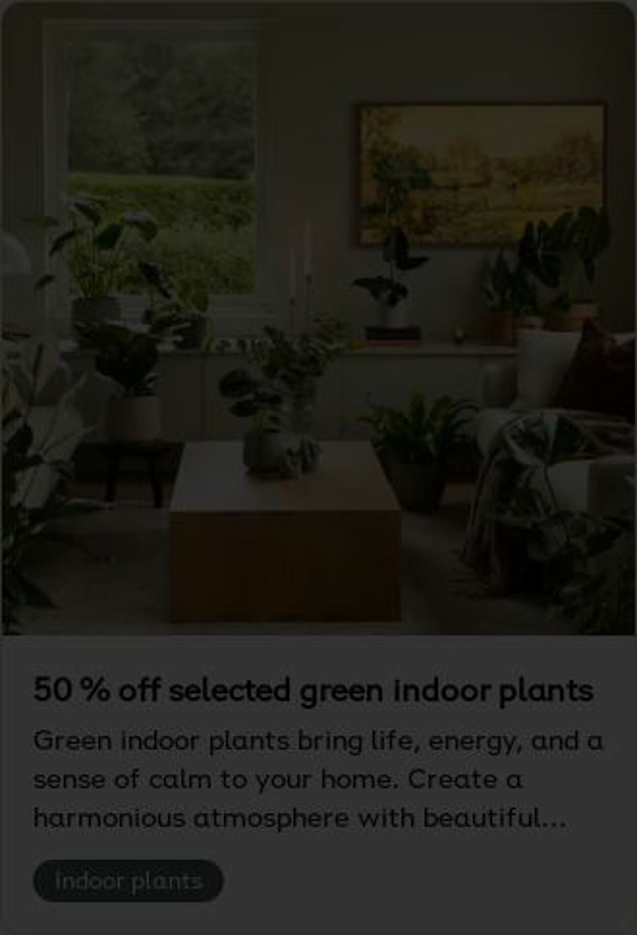 Erbjudanden Plantagen 15.12.2025 - 24.12.2025