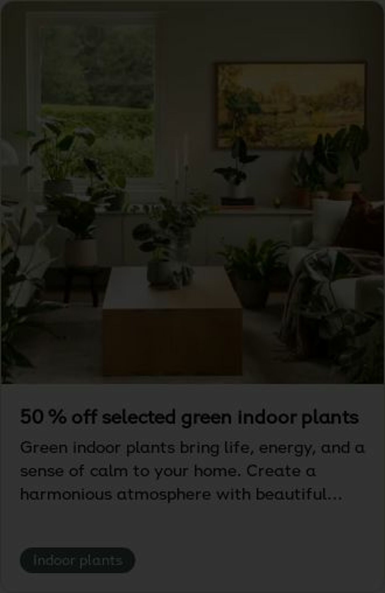 Erbjudanden Plantagen 08.12.2025 - 17.12.2025