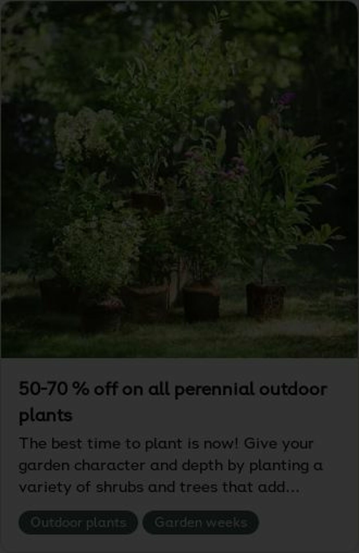 Erbjudanden Plantagen 29.09.2025 - 08.10.2025